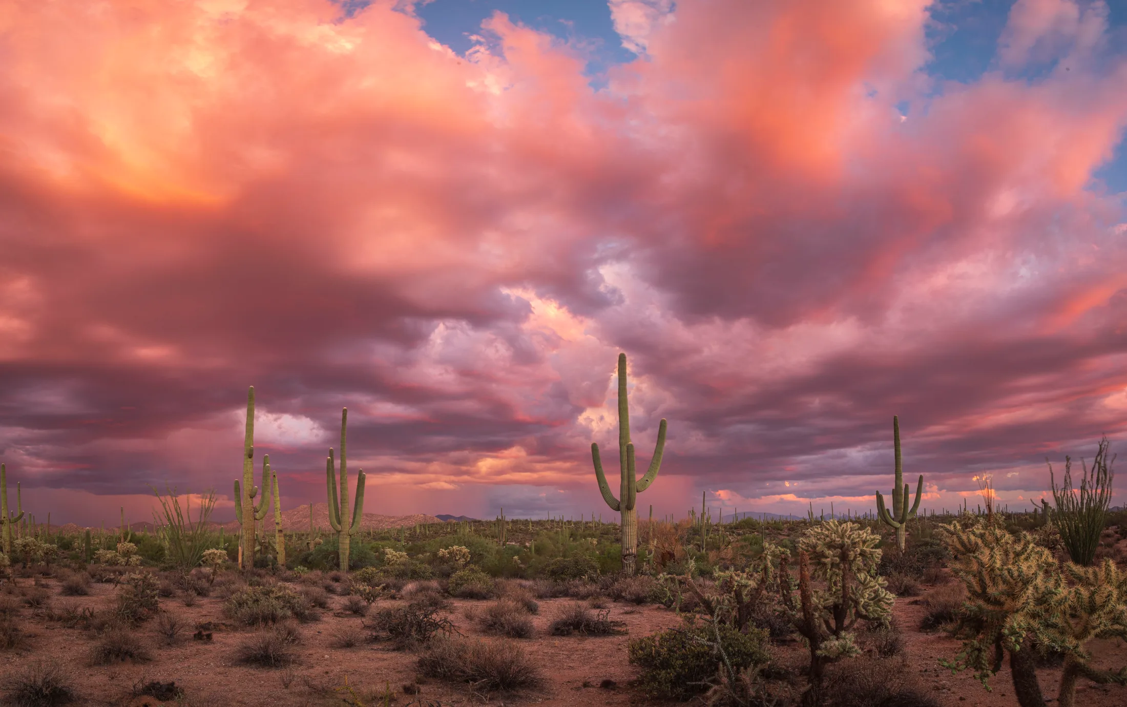96 Ranch Florence AZ, lightning, a fine art photograph by Michael Joseph Baca, Casa de Baca Studios, Florence, Arizona
