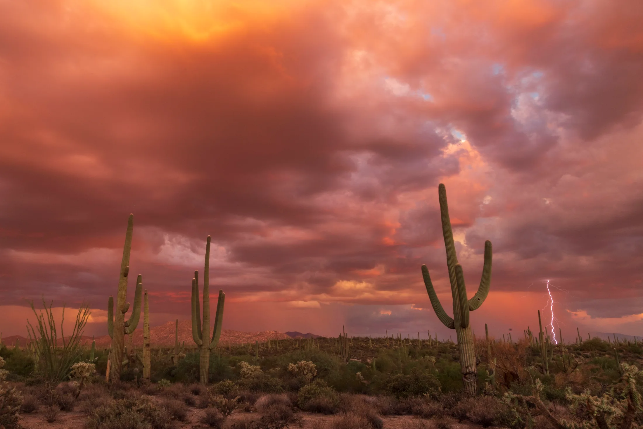 96 Ranch Florence AZ, lightning, a fine art photograph by Michael Joseph Baca, Casa de Baca Studios, Florence, Arizona