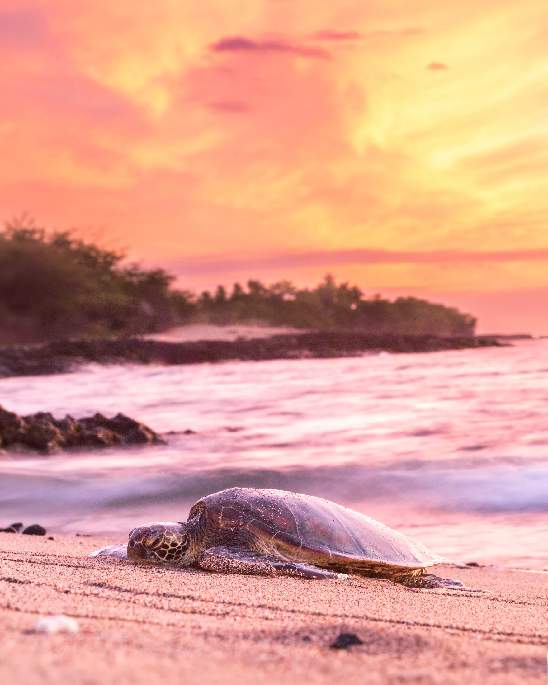 Anaehoomalu Beach Hawaii, ocean and lake and river and pier, a fine art photograph by Michael Joseph Baca