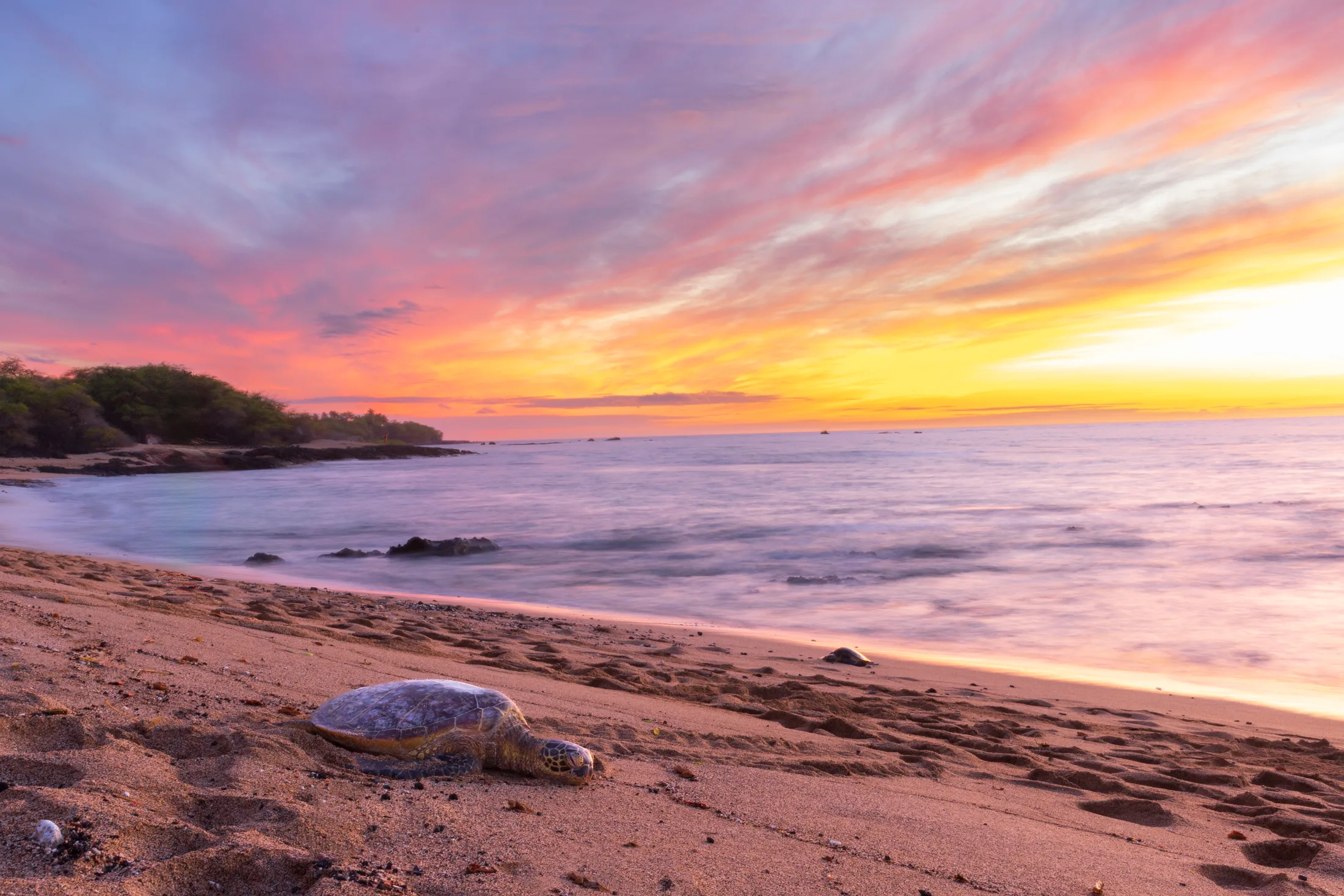Anaehoomalu Beach Hawaii, ocean and lake and river and pier, a fine art photograph by Michael Joseph Baca