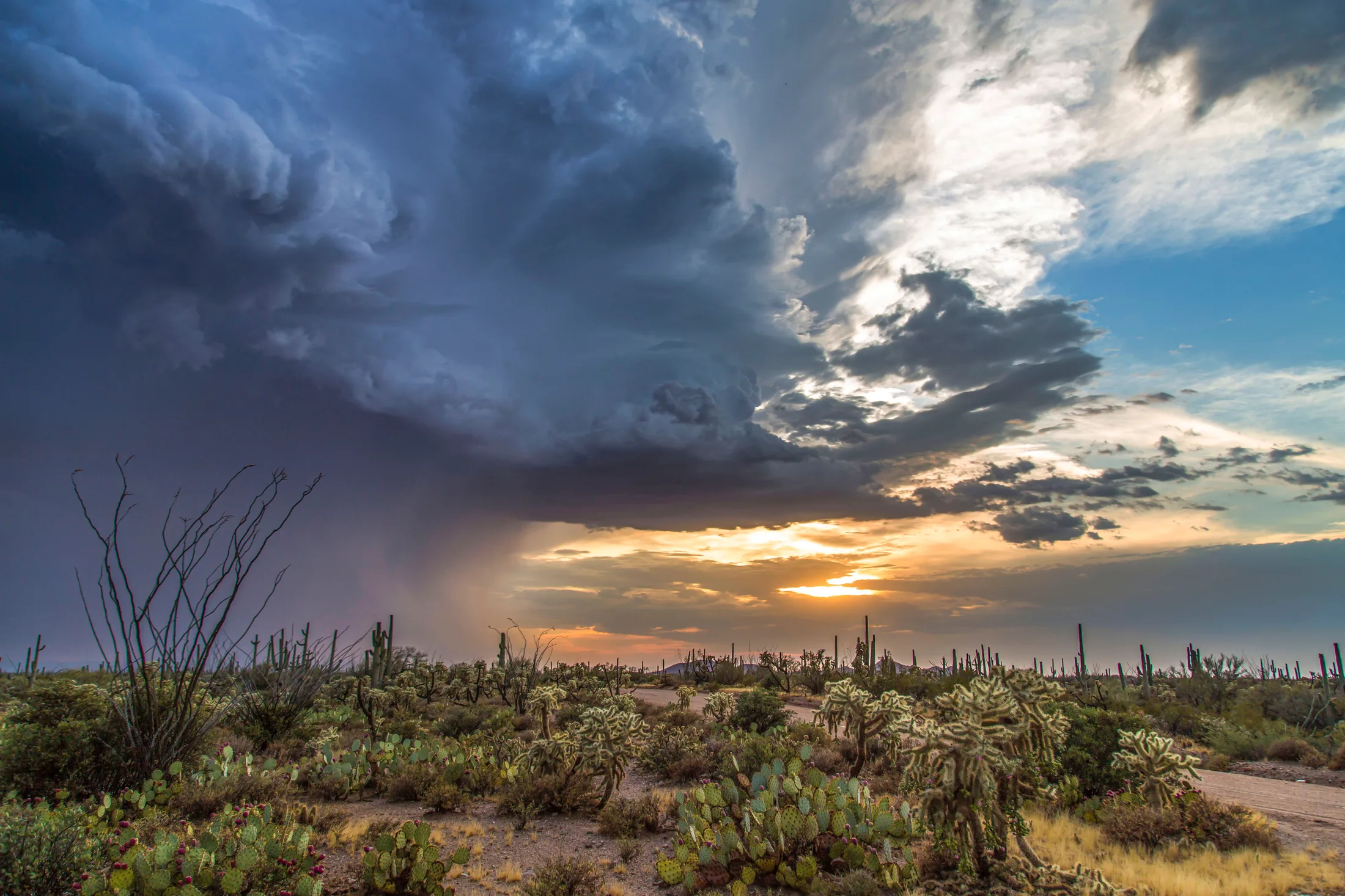 Arizona Desert Monsoon Florence AZ, lightning, a fine art photograph by Michael Joseph Baca