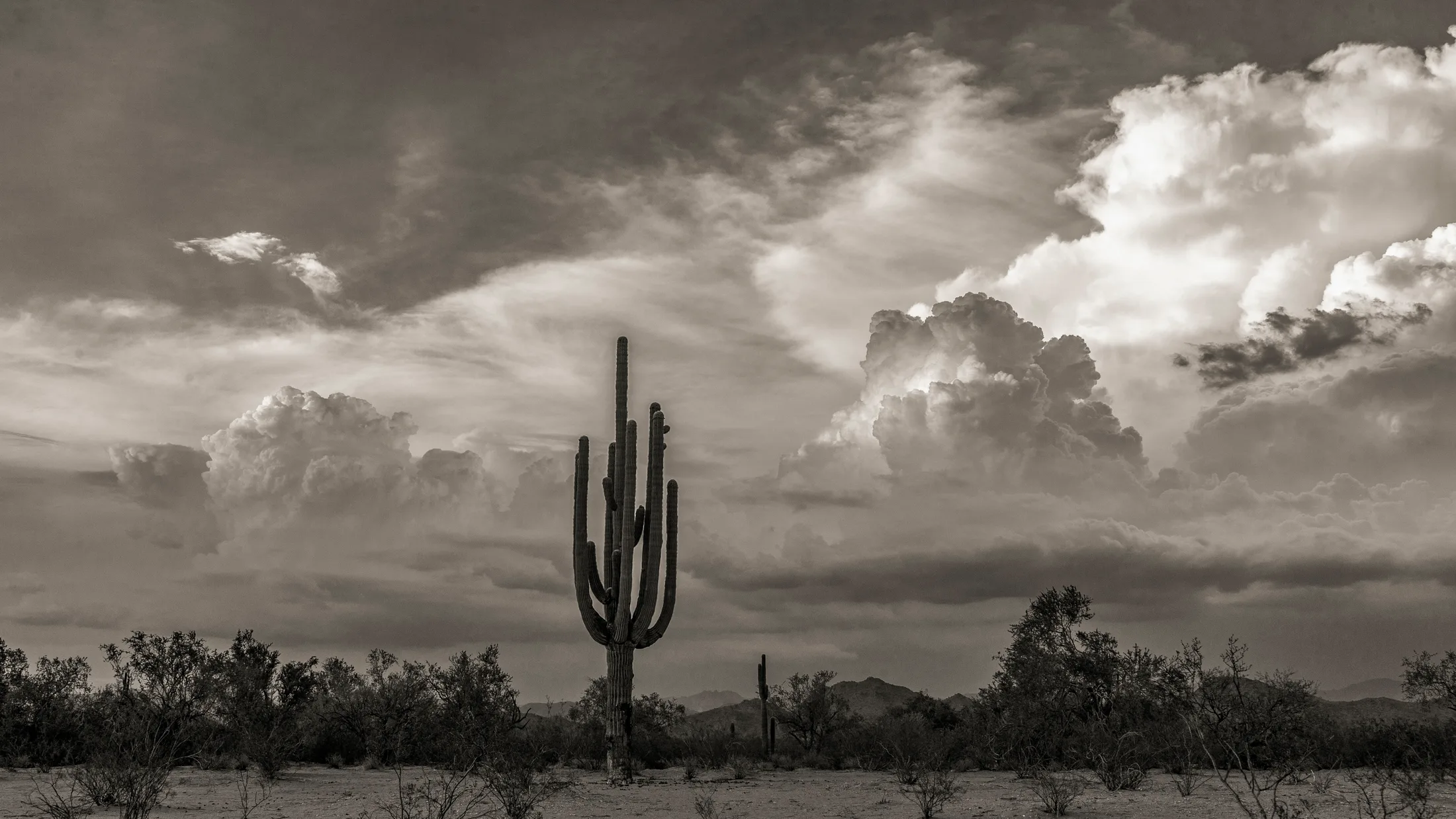 Black & White Florence AZ, landscape, a fine art photograph by Michael Joseph Baca, Casa de Baca Studios, Florence, Arizona