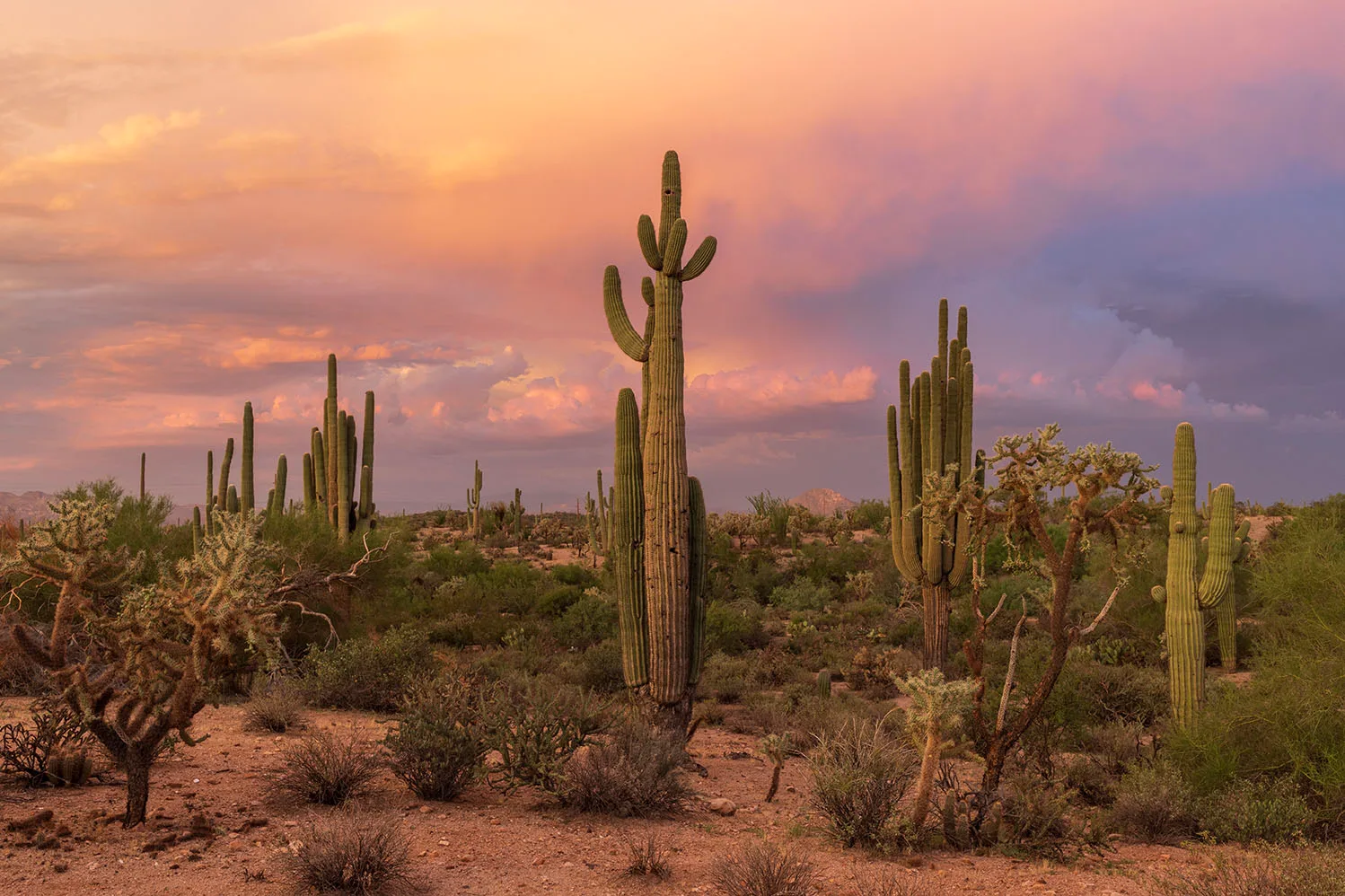 Cactus Monsoon Sunset Grayback Mtn Florence AZ, a fine art photograph by Janell Evelyn Baca