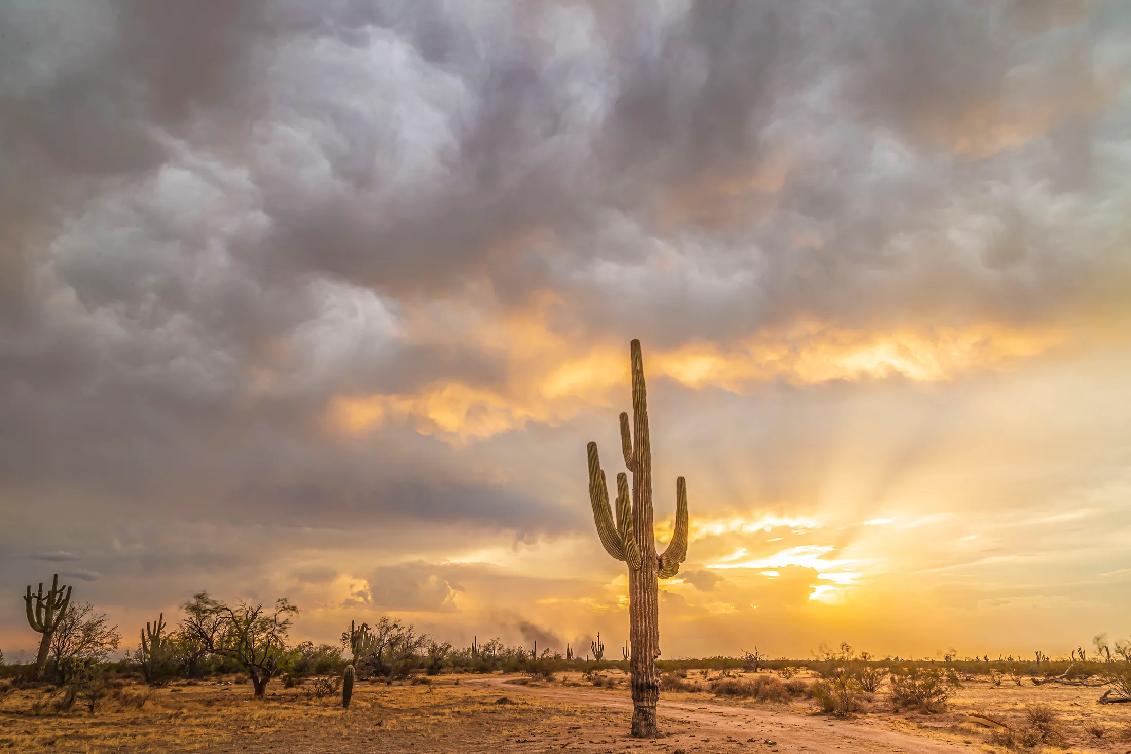 Coolidge AZ, sunset and sunrise, a fine art photograph by Michael Joseph Baca, Casa de Baca Studios, Florence, Arizona