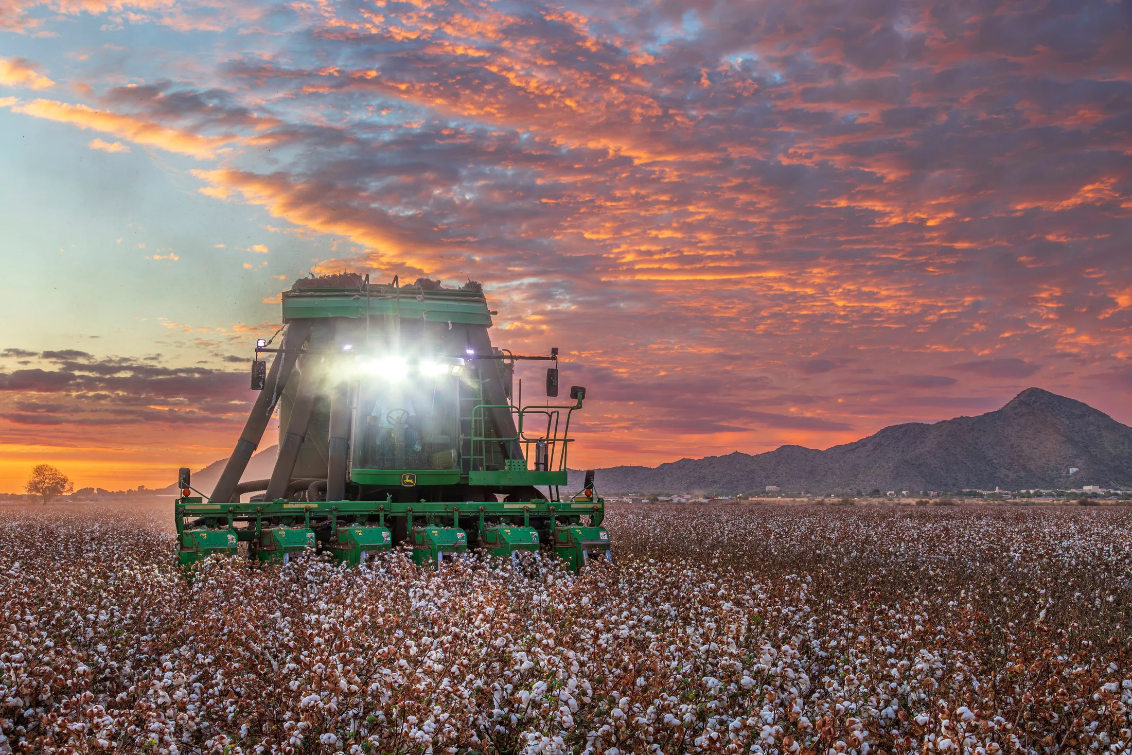 Cotton Picker Coolidge Arizona, vehicles, a fine art photograph by Michael Joseph Baca