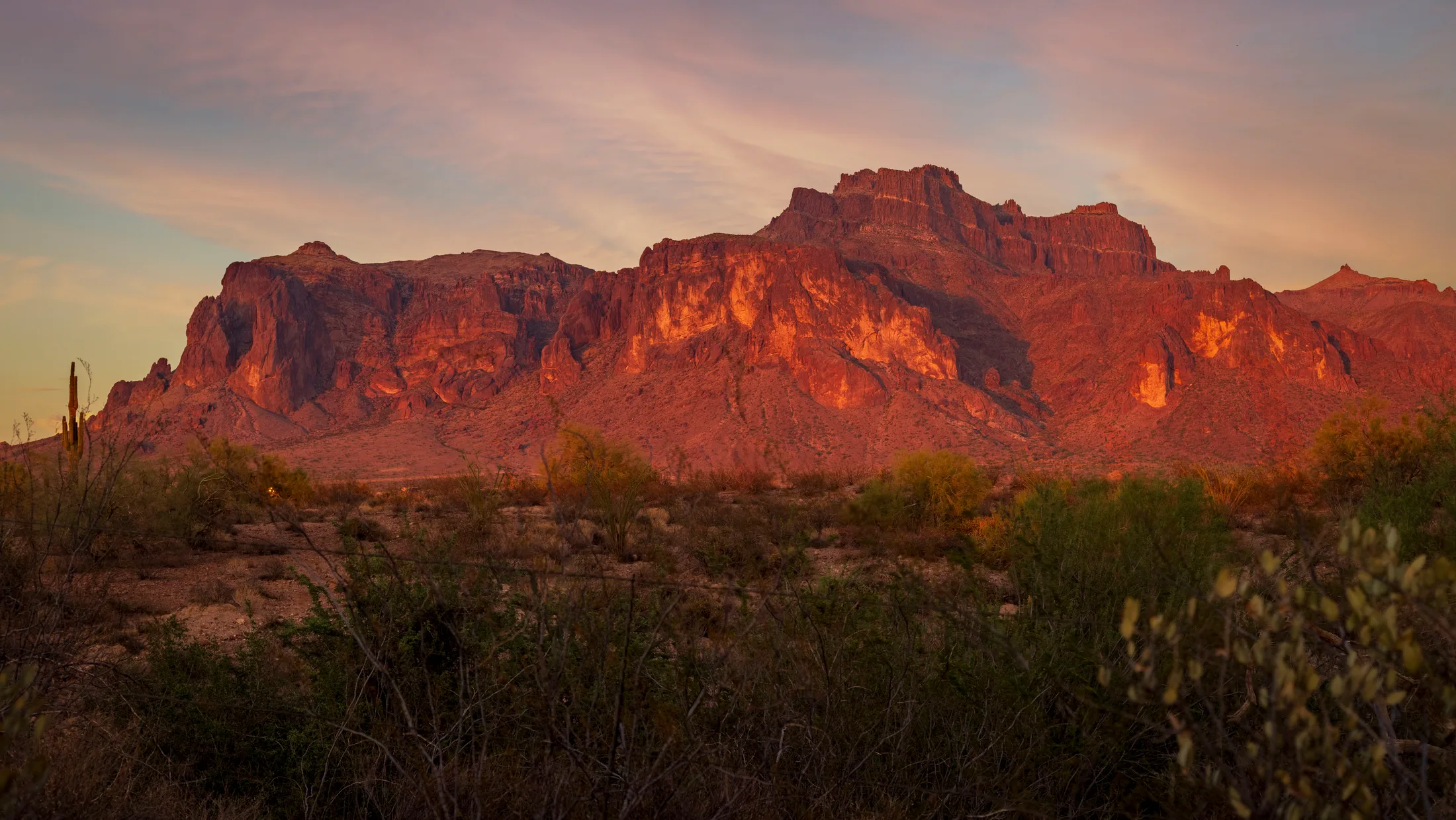 Cougar on Superstition Mountain -2, sunset and sunrise, a fine art photograph by Michael Joseph Baca