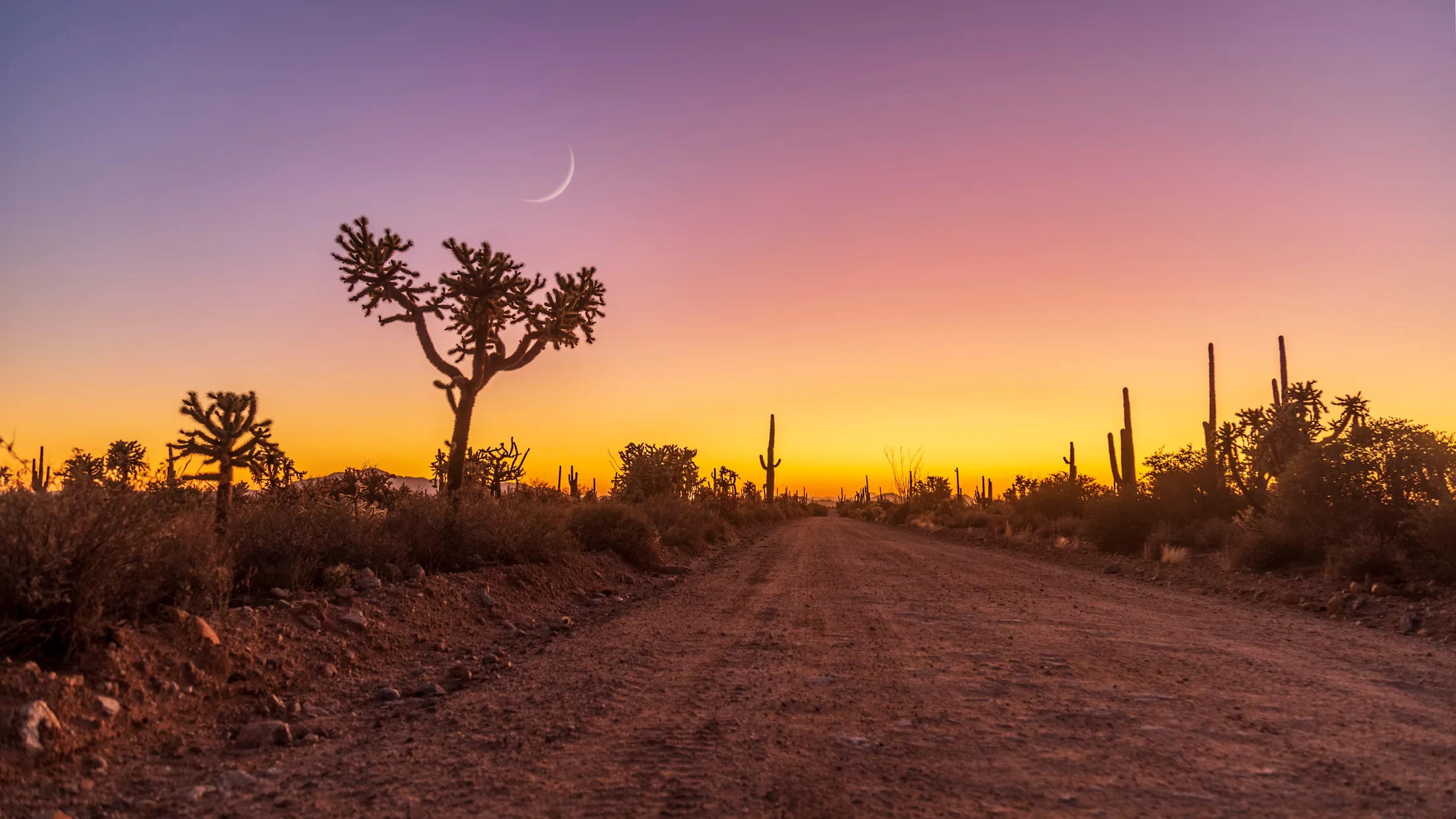 Crescent Moon 96 Ranch Road, a fine art photograph by Michael Joseph Baca, Casa de Baca Studios, Florence, Arizona