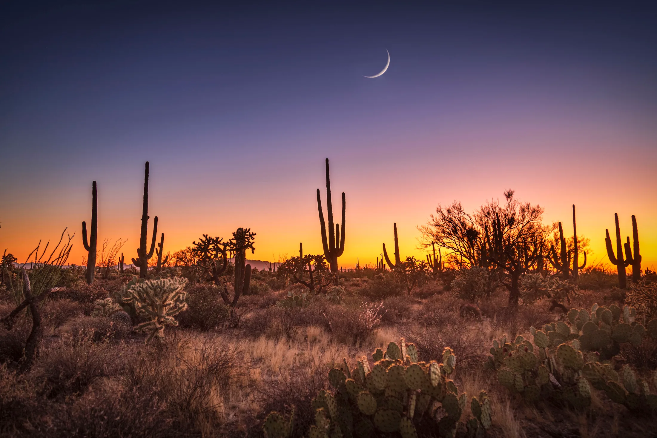 Crescent Moon Florence AZ, a fine art photograph by Michael Joseph Baca, Casa de Baca Studios, Florence, Arizona