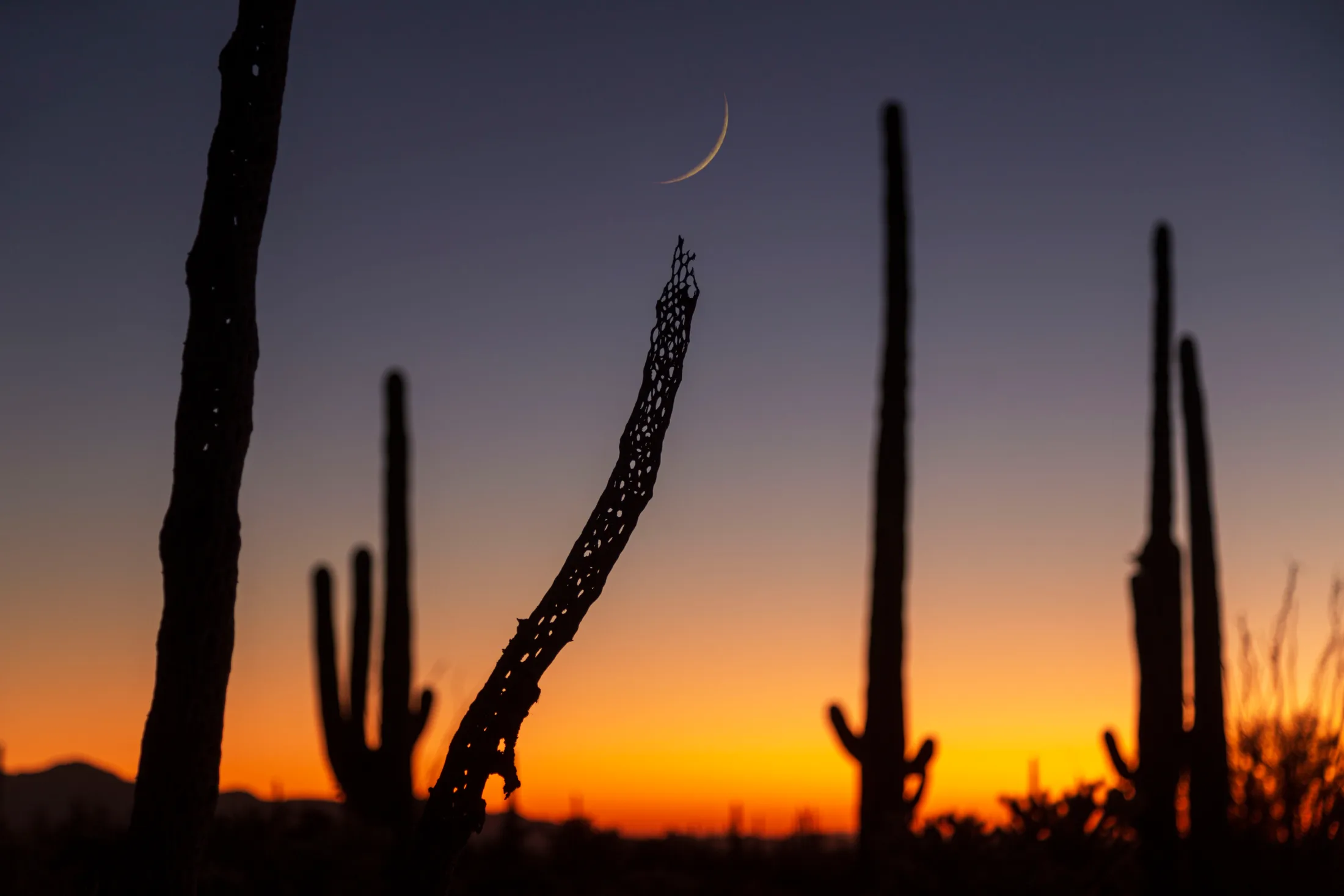 Crescent Moon Florence AZ, a fine art photograph by Michael Joseph Baca, Casa de Baca Studios, Florence, Arizona