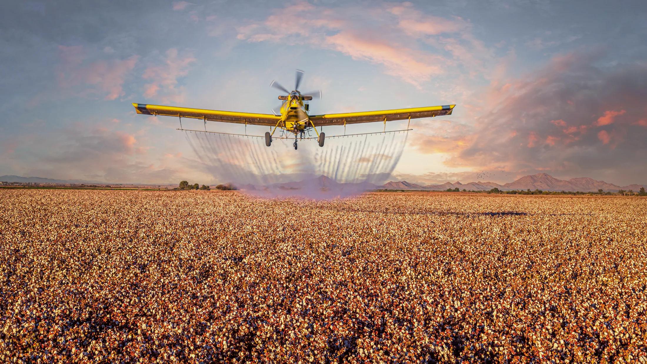 Crop Duster Coolidge Arizona, vehicles, a fine art photograph by Michael Joseph Baca, Casa de Baca Studios, Florence, Arizona
