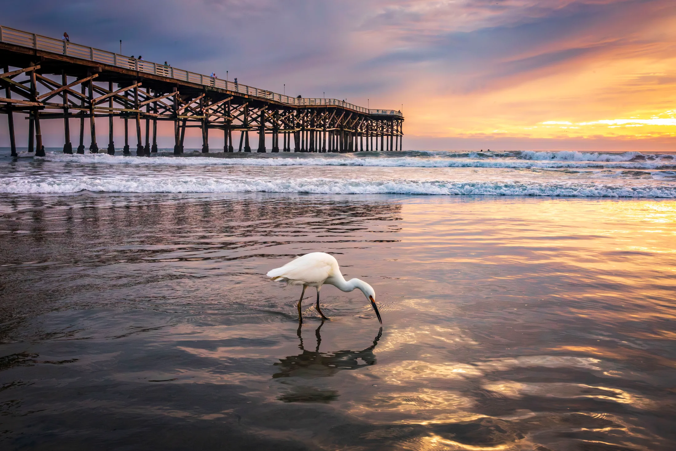 Crystal Pier San Diego CA, ocean and lake and river and pier, a fine art photograph by Michael Joseph Baca