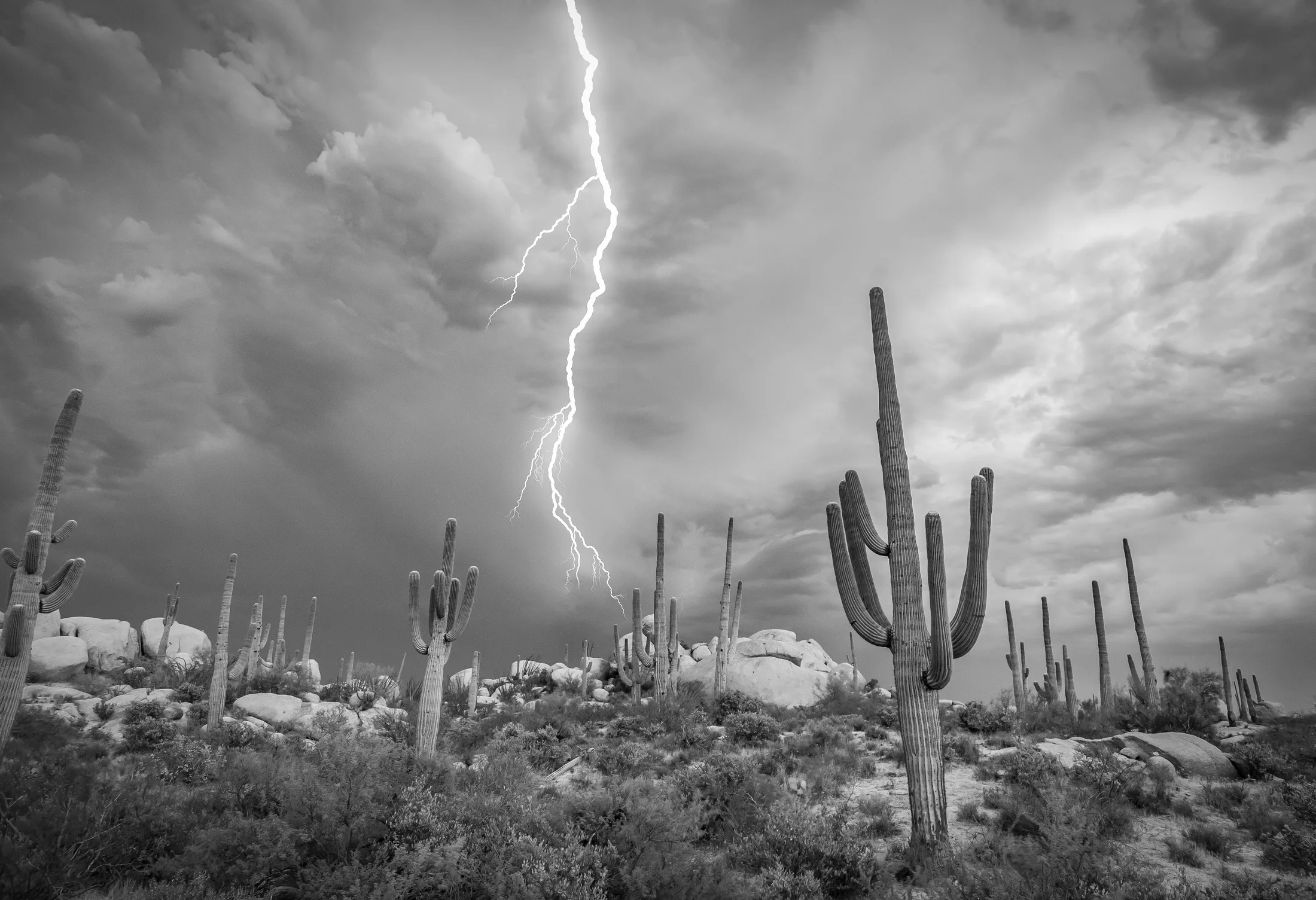 Desert Flash The Boulder Florence AZ, lightning, a fine art photograph by Michael Joseph Baca