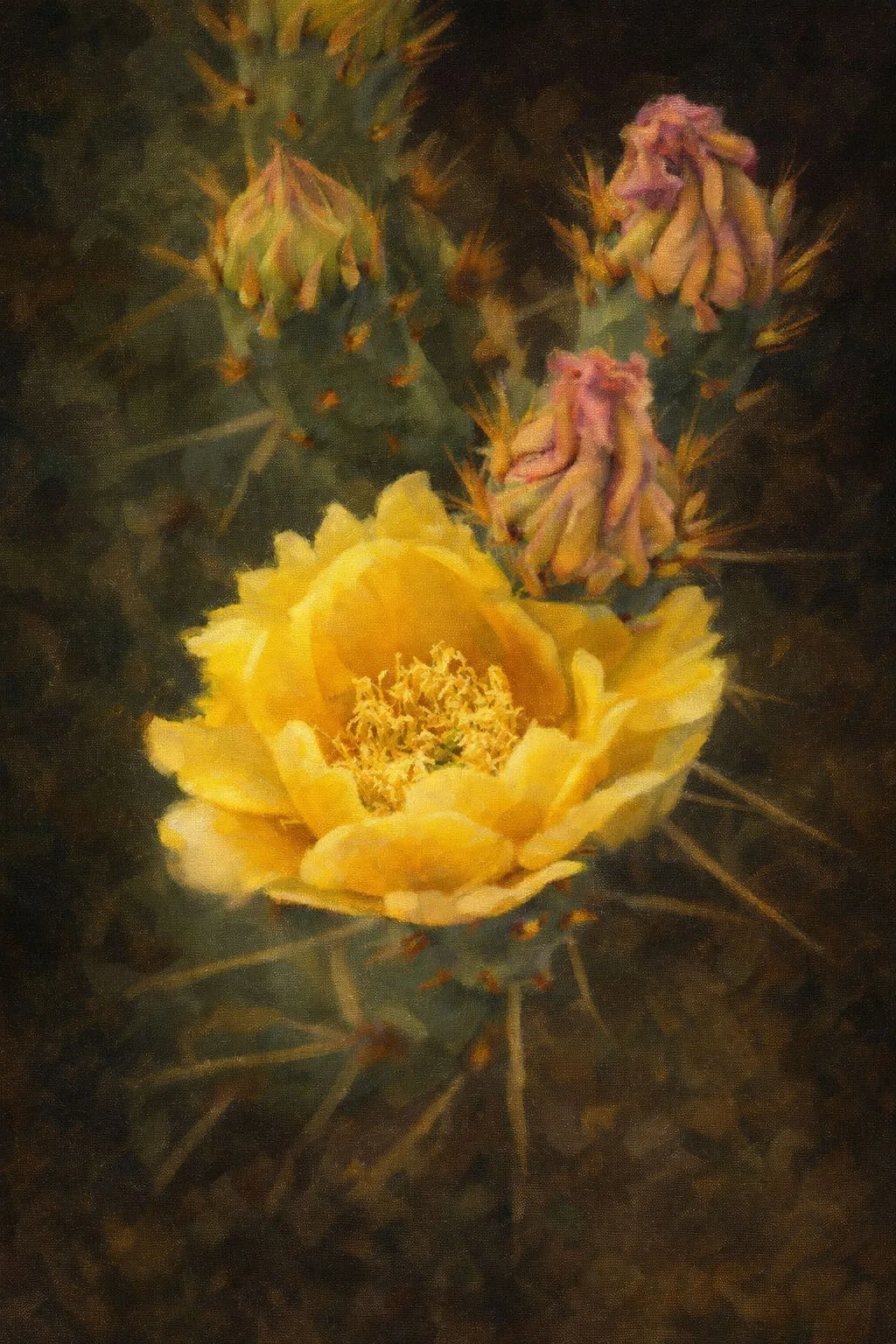 Digital Art Prickly Pear Impressionistic painting, flowers and plants, digital art by Janell Evelyn Baca