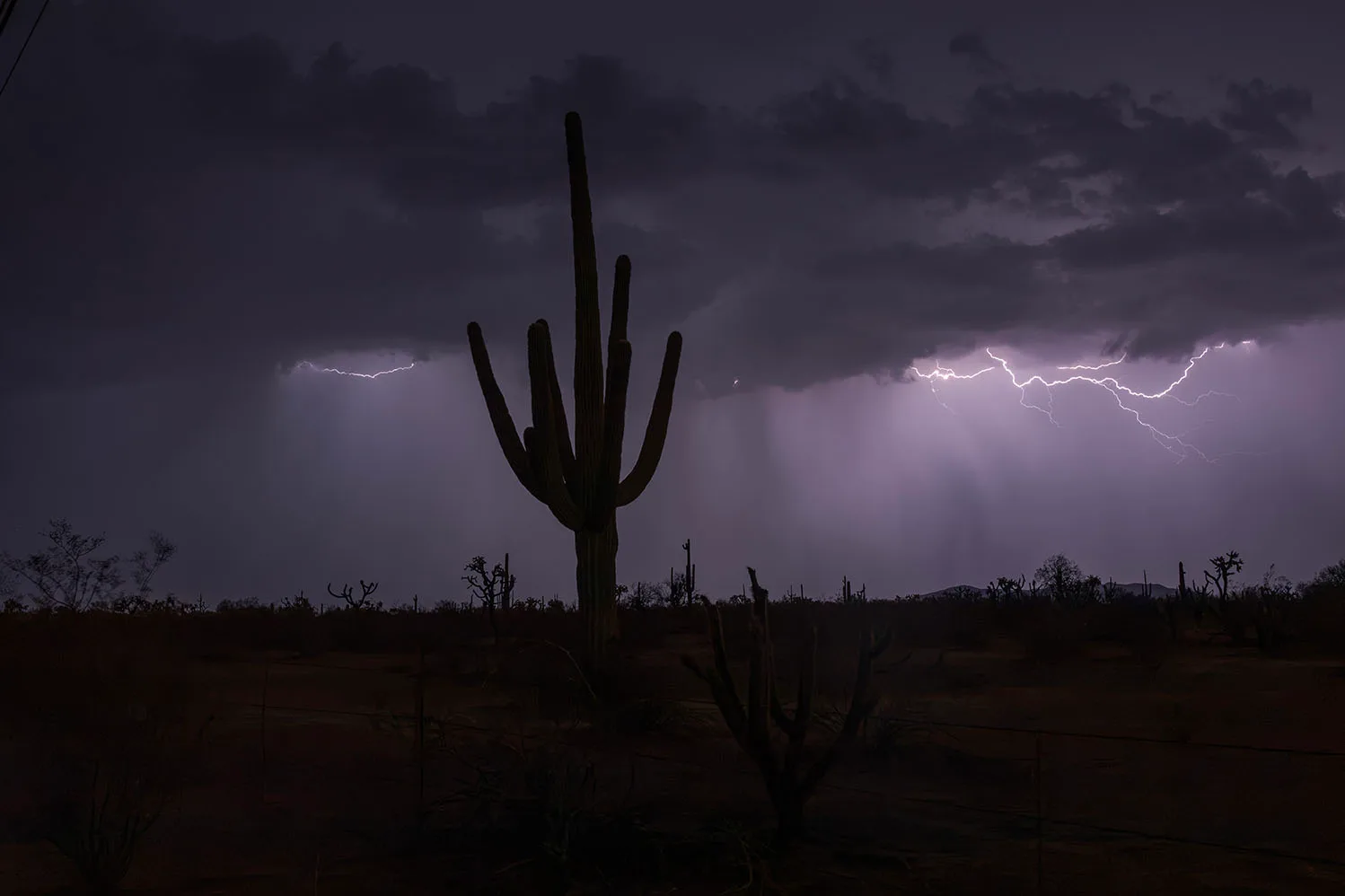 Disconnected - Lightning off Hwy 60 Superstition Wilderness AZ, a fine art photograph by Janell Evelyn Baca