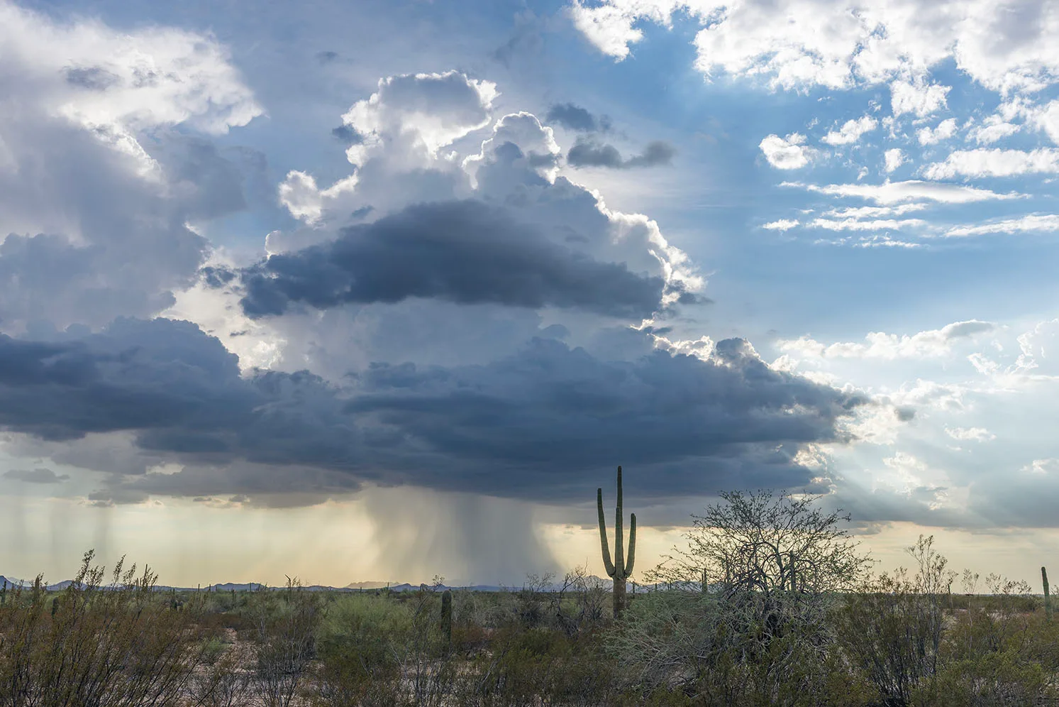 DJ009 Downpour Florence Arizona, landscape by Janell Evelyn Baca, Casa de Baca Studios, Florence, Arizona