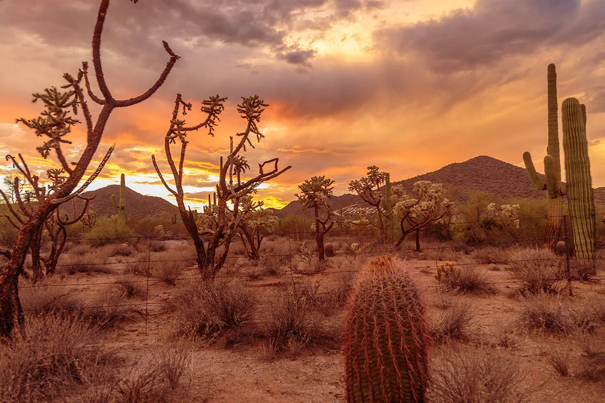 Ellsworth Rd and Salt River, sunset and sunrise, a fine art photograph by Janell Evelyn Baca