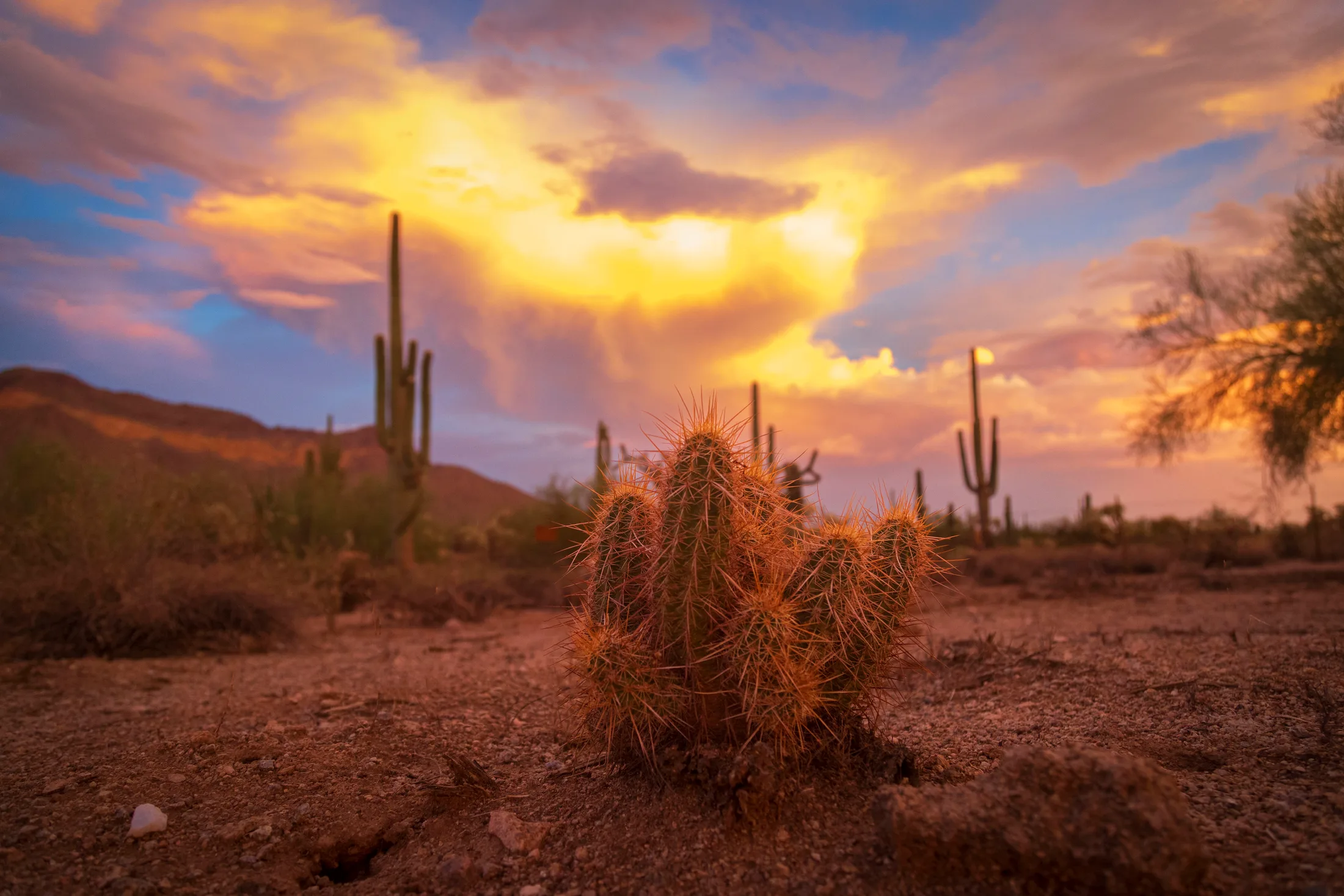 Ellsworth Road Mesa AZ, sunset and sunrise, a fine art photograph by Michael Joseph Baca