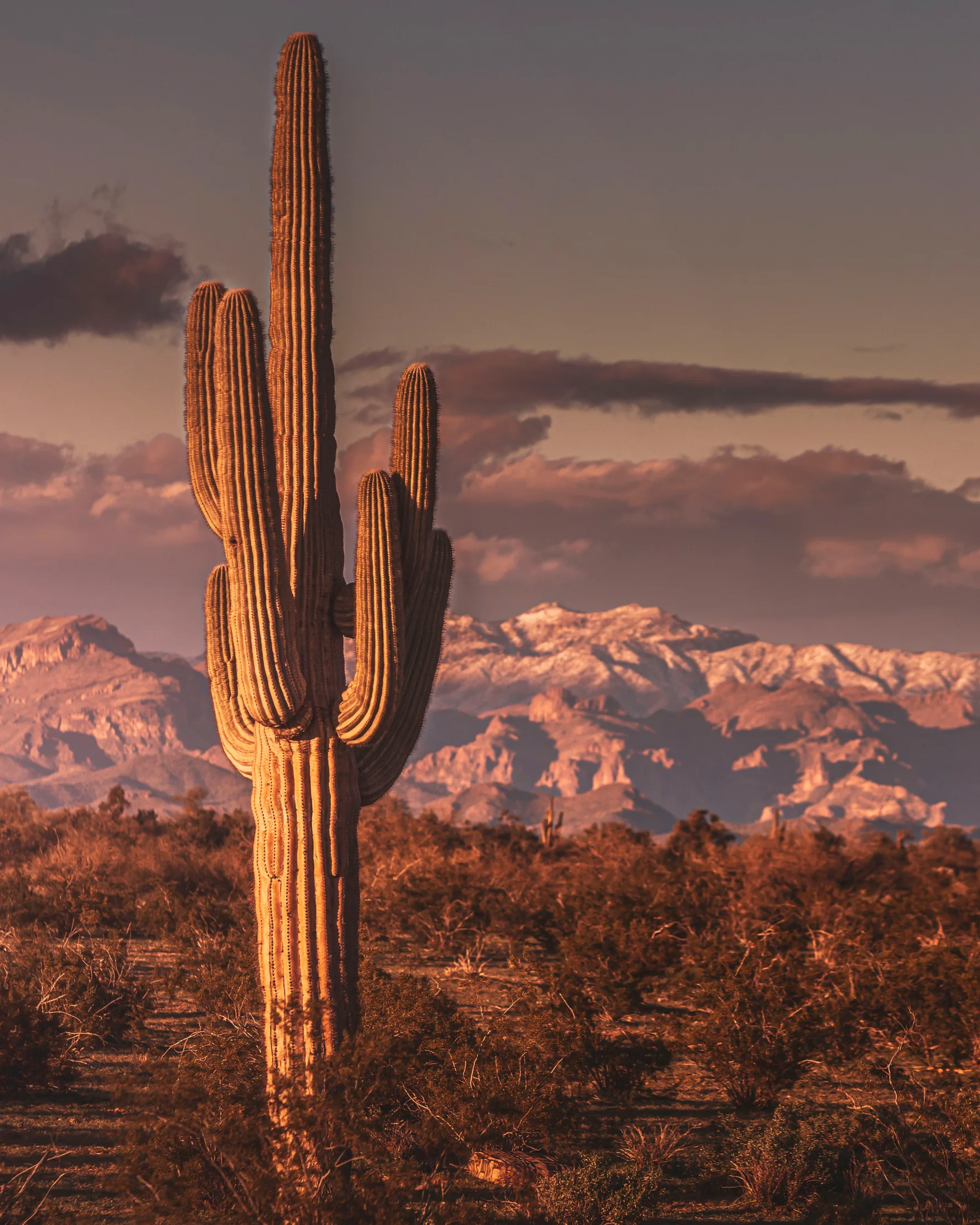 Florence Arizona, snow, a fine art photograph by Michael Joseph Baca, Casa de Baca Studios, Florence, Arizona
