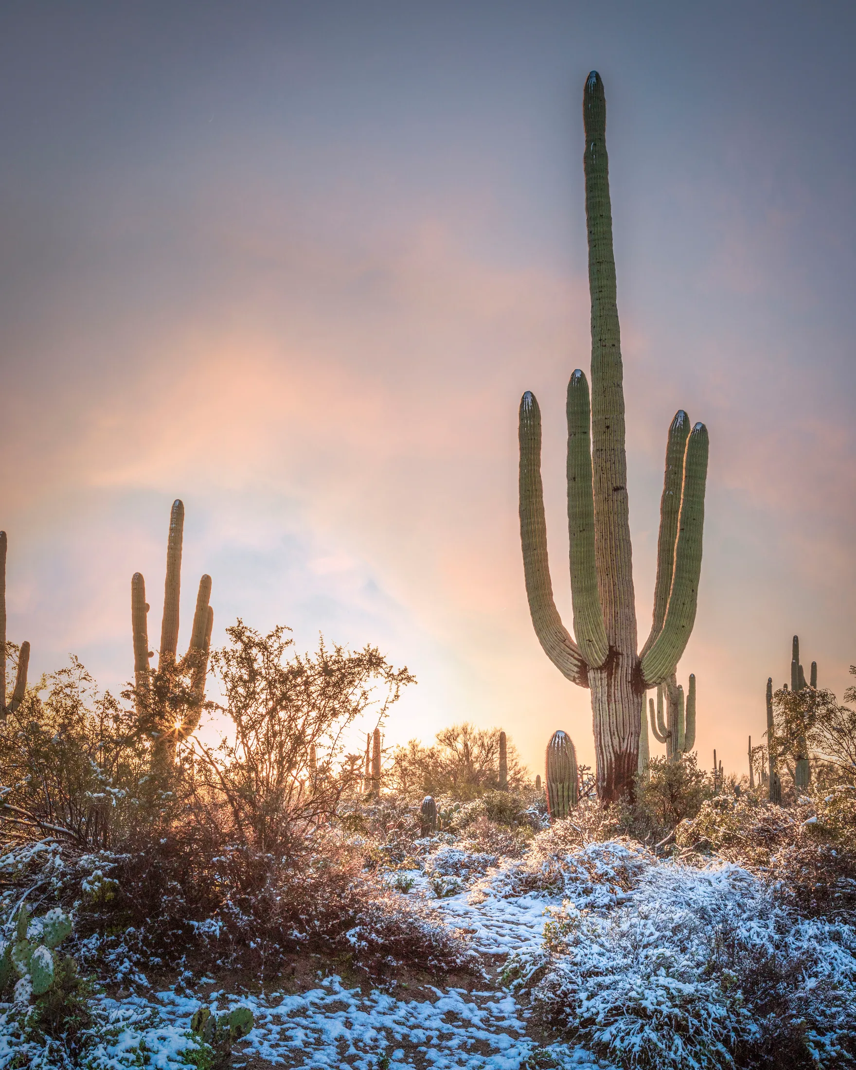 Florence AZ, snow, a fine art photograph by Michael Joseph Baca, Casa de Baca Studios, Florence, Arizona