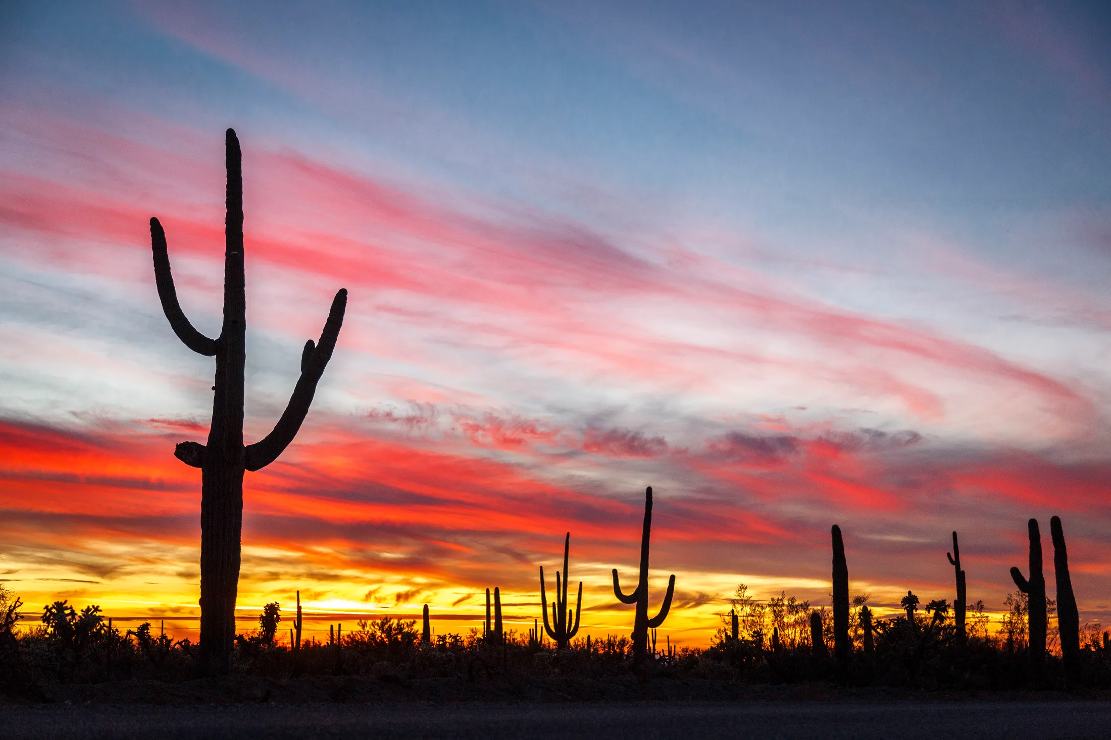 Florence AZ, sunset and sunrise, a fine art photograph by Michael Joseph Baca, Casa de Baca Studios, Florence, Arizona