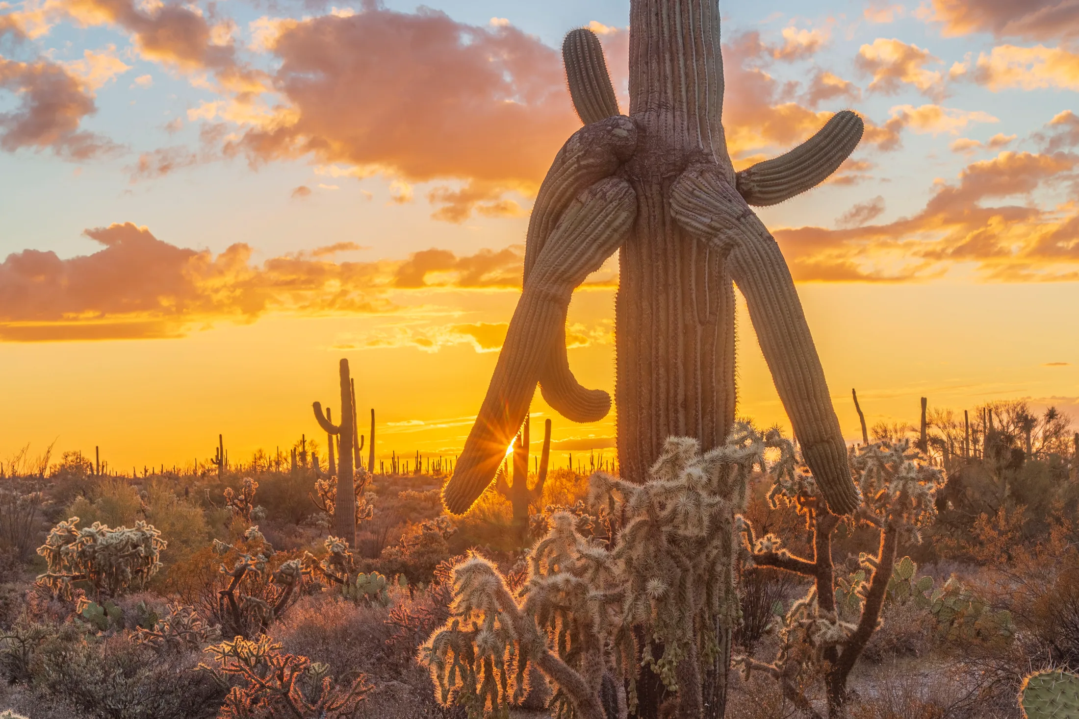 Florence AZ, sunset and sunrise, a fine art photograph by Michael Joseph Baca, Casa de Baca Studios, Florence, Arizona