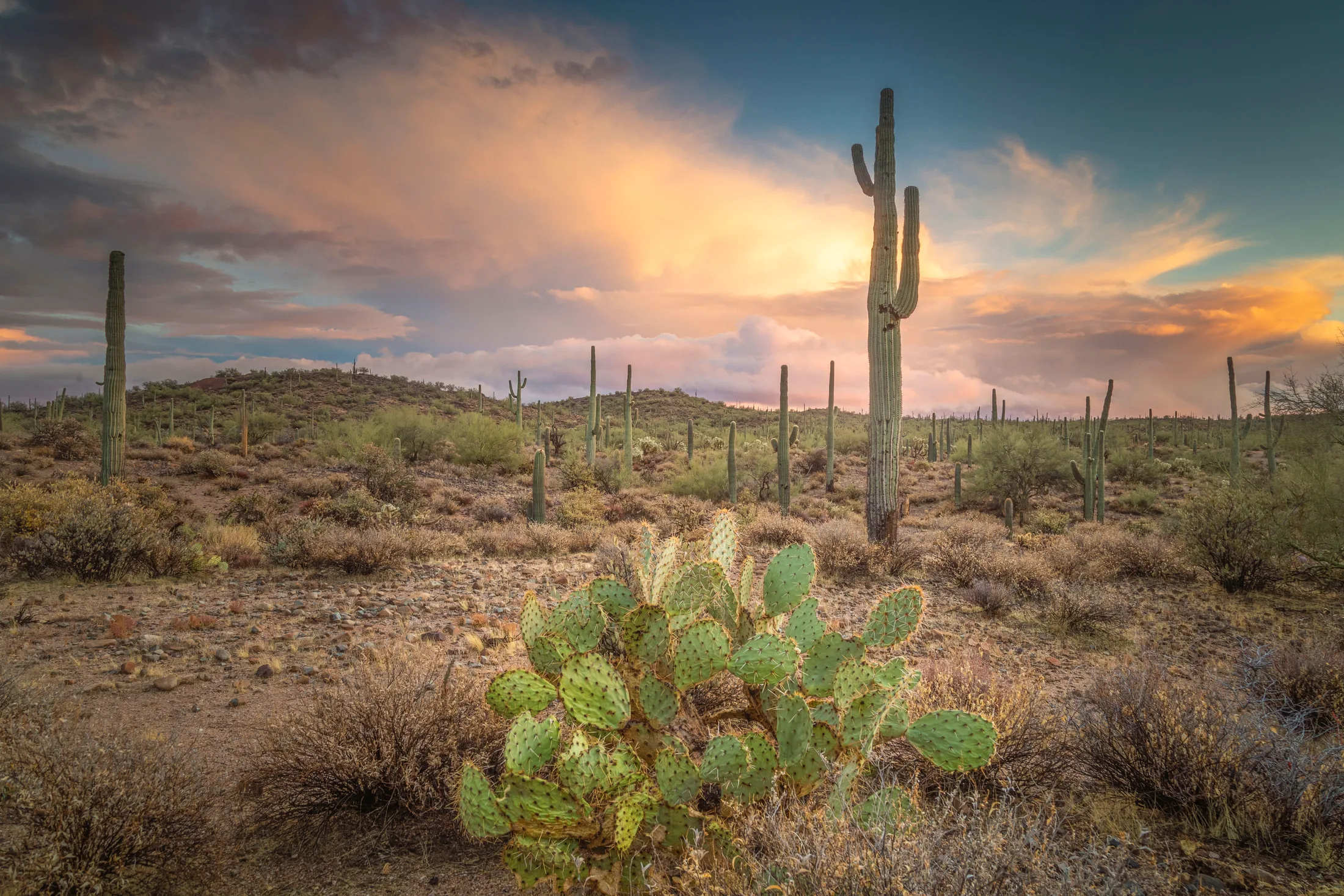 Florence AZ, sunset and sunrise, a fine art photograph by Michael Joseph Baca, Casa de Baca Studios, Florence, Arizona