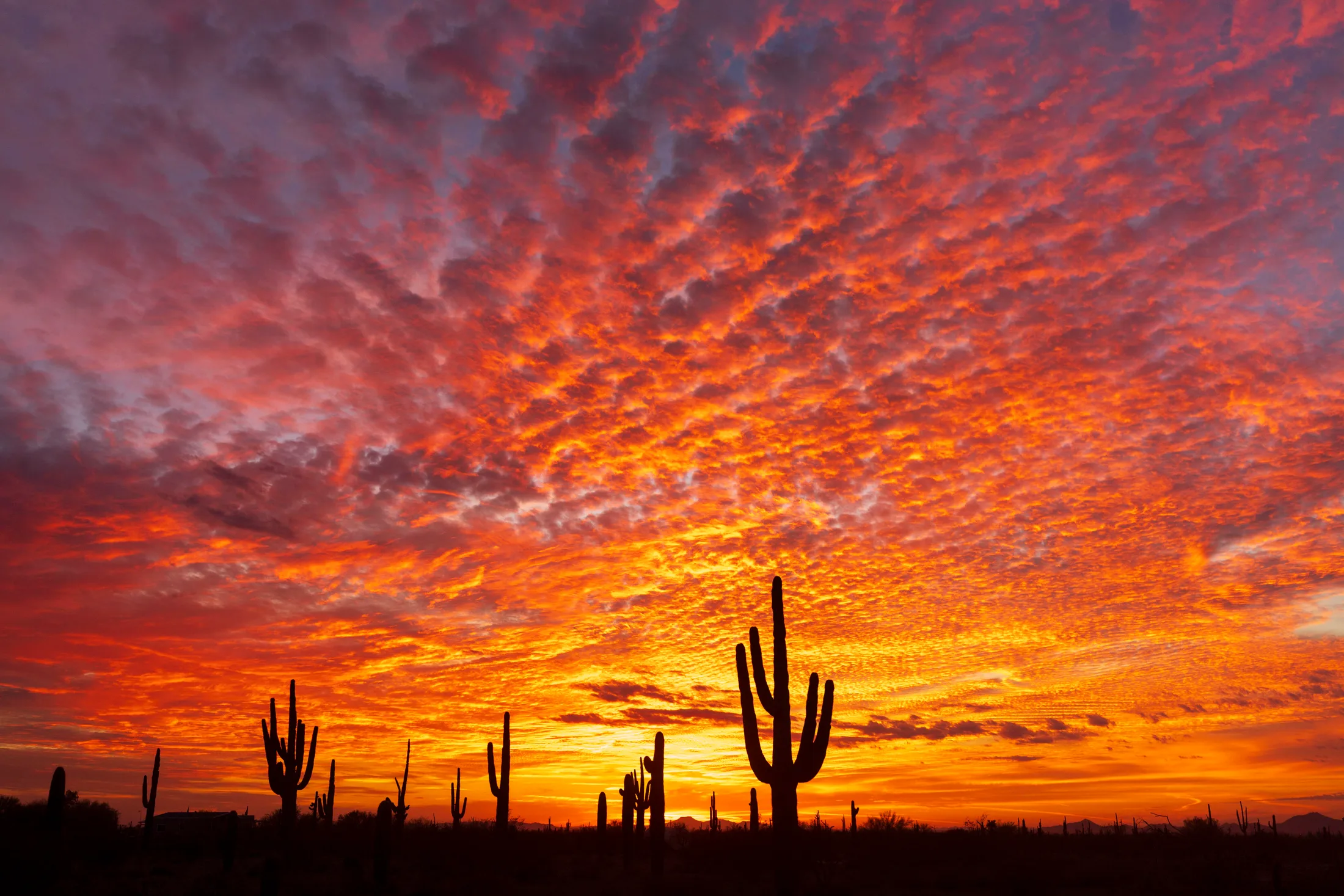 Florence AZ, sunset and sunrise, a fine art photograph by Michael Joseph Baca, Casa de Baca Studios, Florence, Arizona
