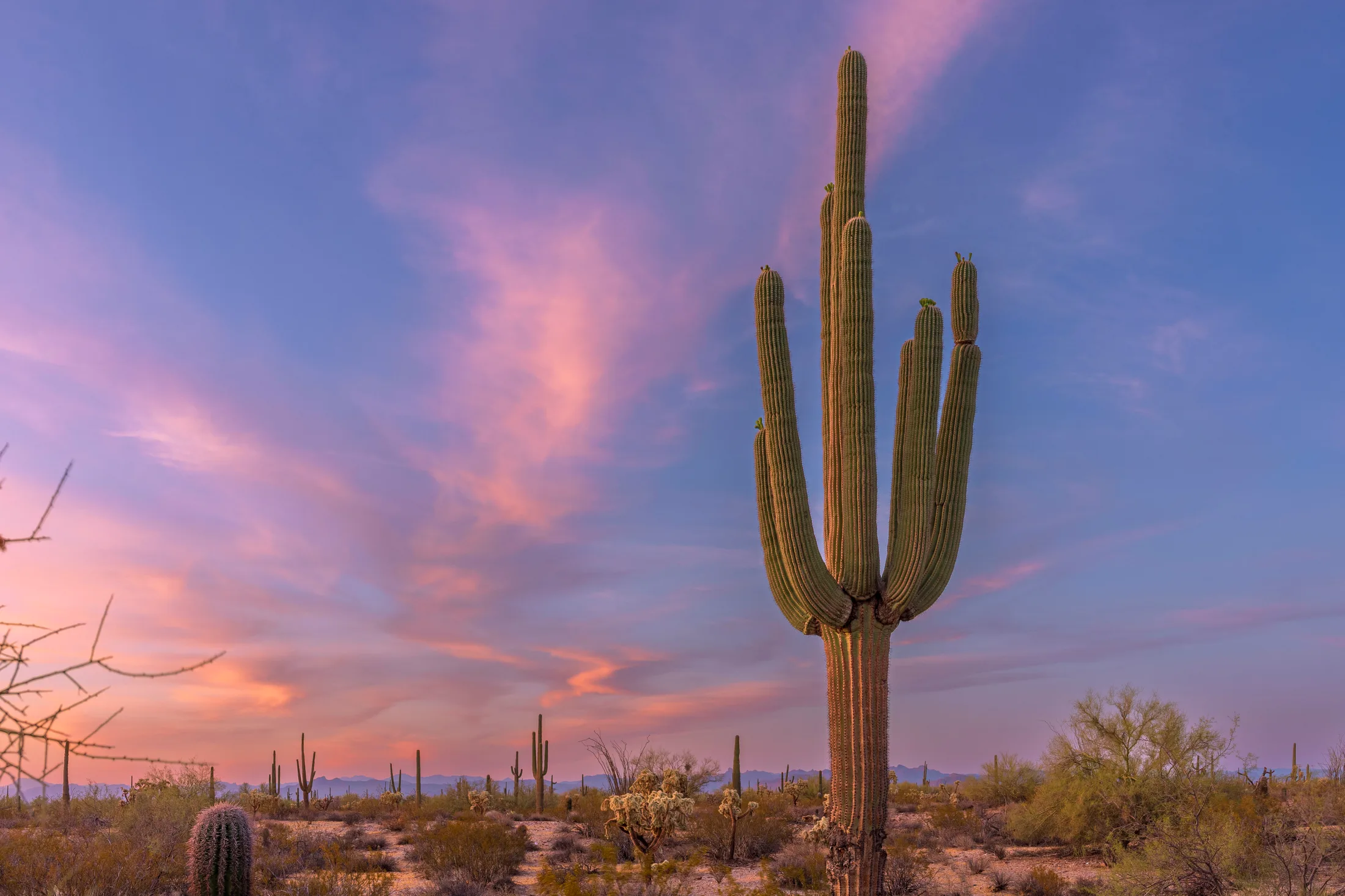 Florence AZ, sunset and sunrise, a fine art photograph by Michael Joseph Baca, Casa de Baca Studios, Florence, Arizona