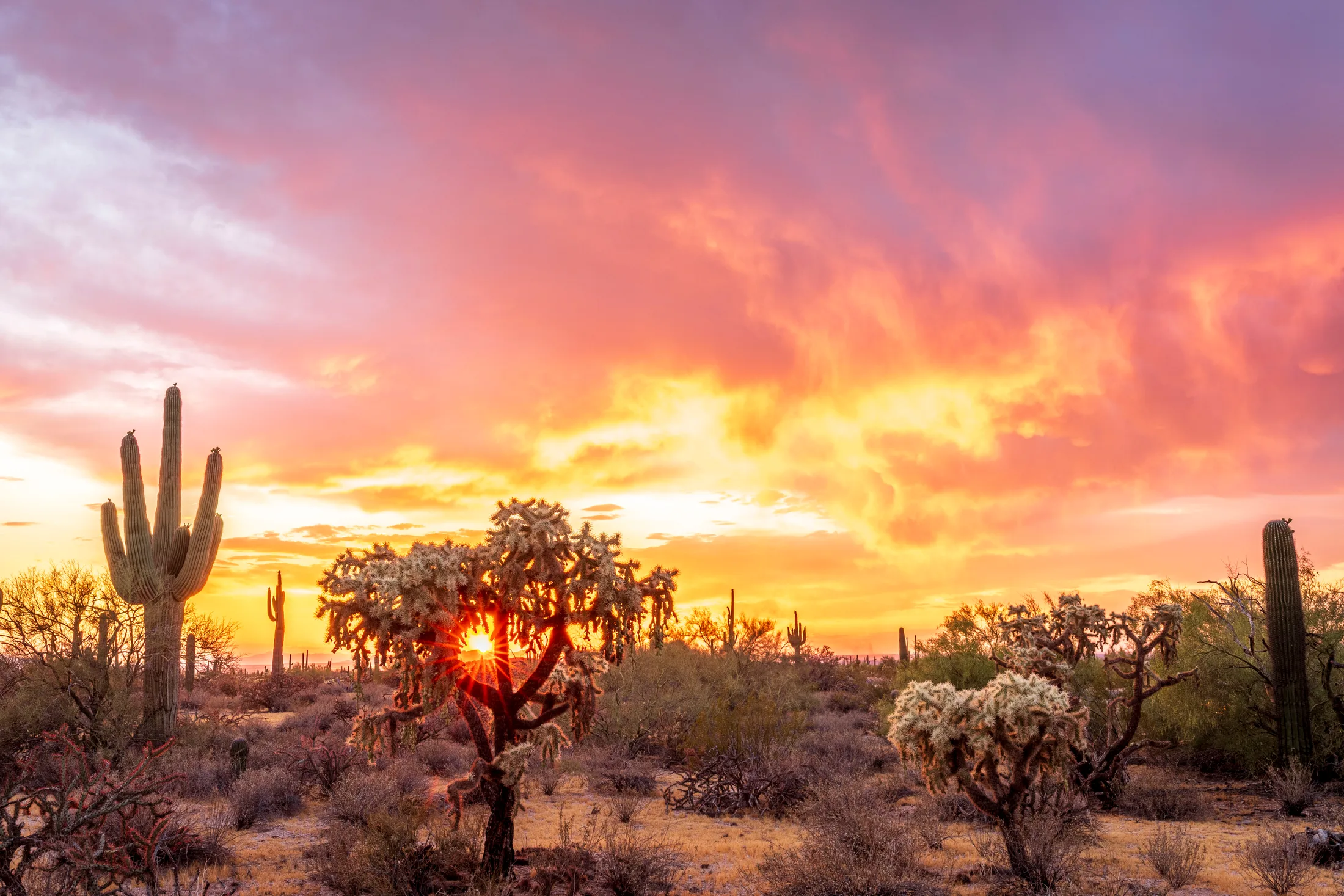 Florence AZ, sunset and sunrise, a fine art photograph by Michael Joseph Baca, Casa de Baca Studios, Florence, Arizona