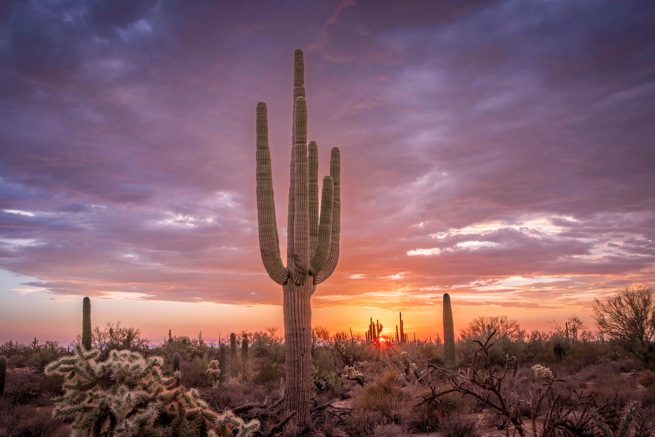 Florence AZ, sunset and sunrise, a fine art photograph by Michael Joseph Baca, Casa de Baca Studios, Florence, Arizona