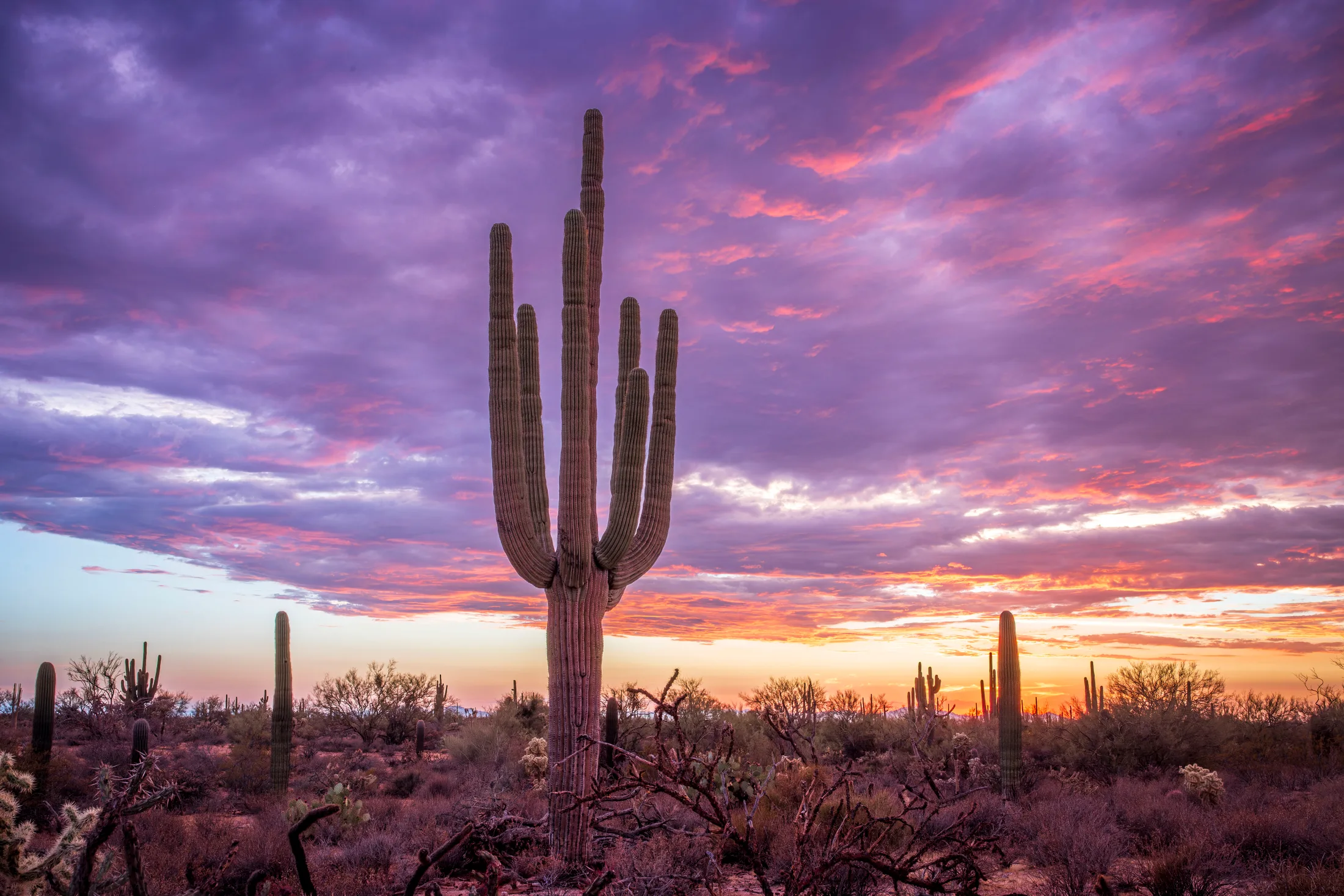 Florence AZ, sunset and sunrise, a fine art photograph by Michael Joseph Baca, Casa de Baca Studios, Florence, Arizona