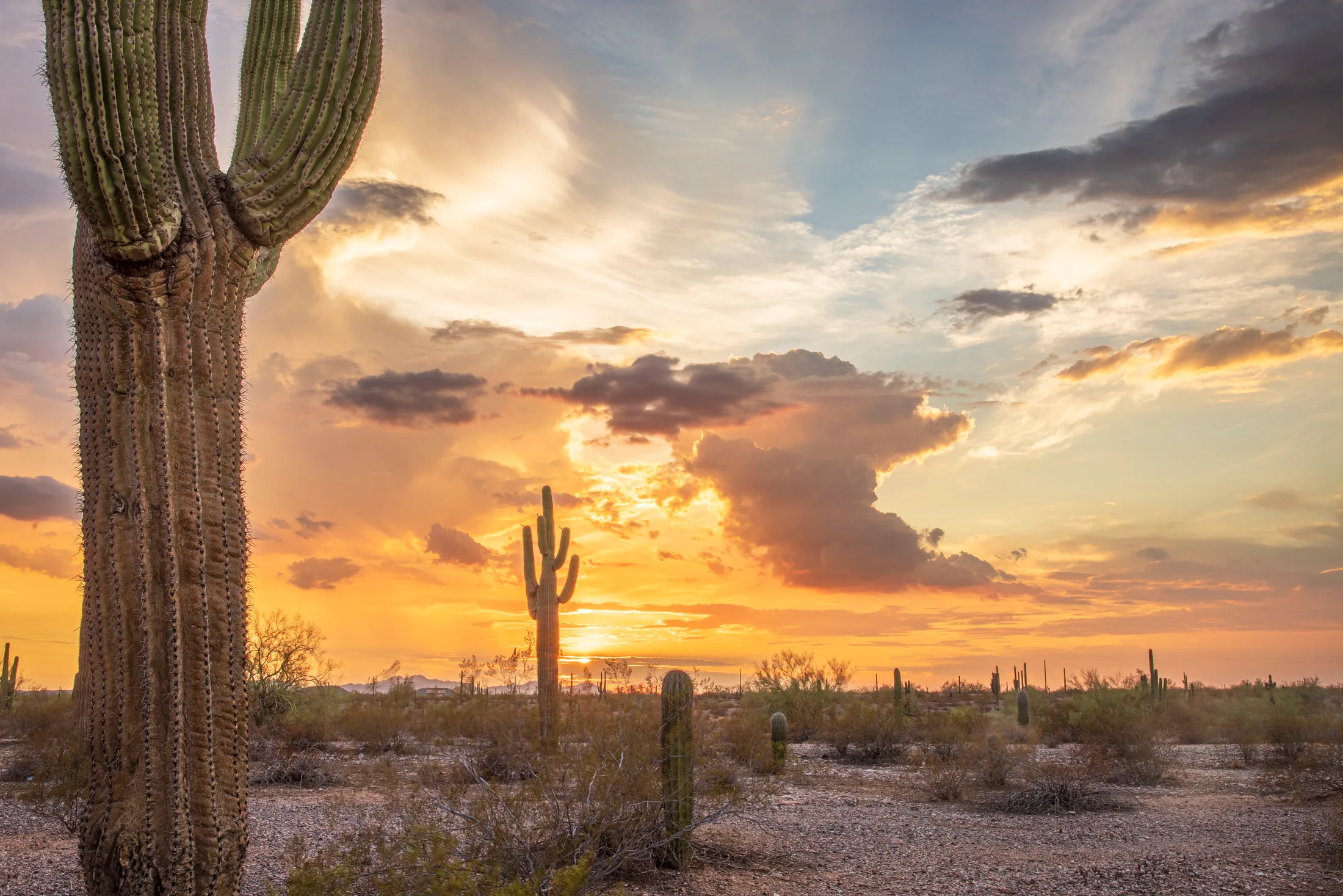 Florence AZ, sunset and sunrise, a fine art photograph by Michael Joseph Baca, Casa de Baca Studios, Florence, Arizona