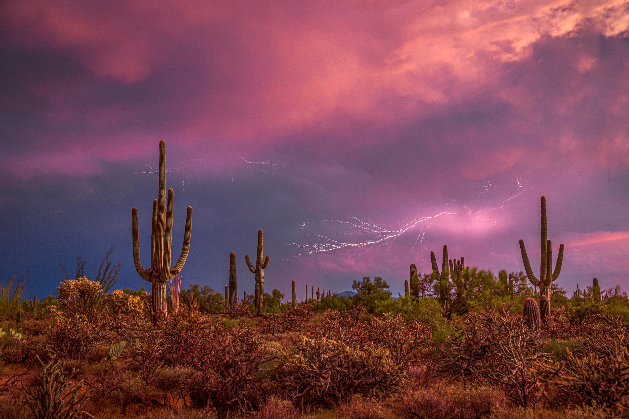 Florence AZ, lightning, a fine art photograph by Michael Joseph Baca, Casa de Baca Studios, Florence, Arizona