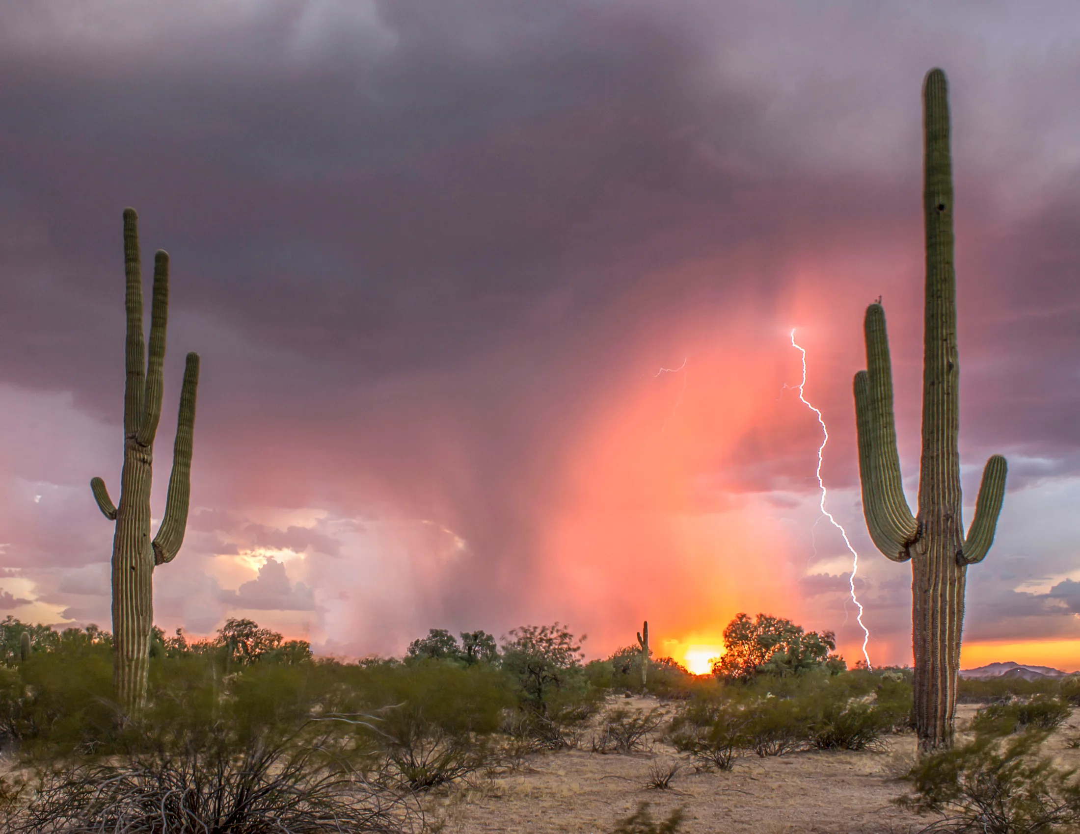 Florence AZ, lightning, a fine art photograph by Michael Joseph Baca, Casa de Baca Studios, Florence, Arizona