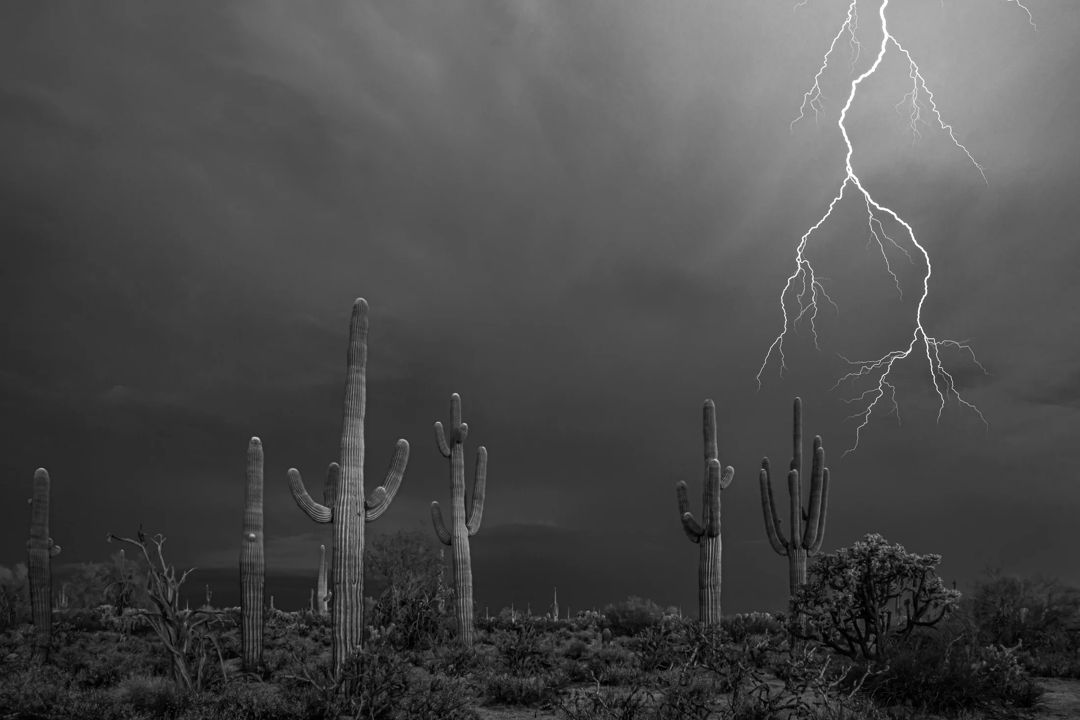 Florence AZ, lightning, a fine art photograph by Michael Joseph Baca, Casa de Baca Studios, Florence, Arizona