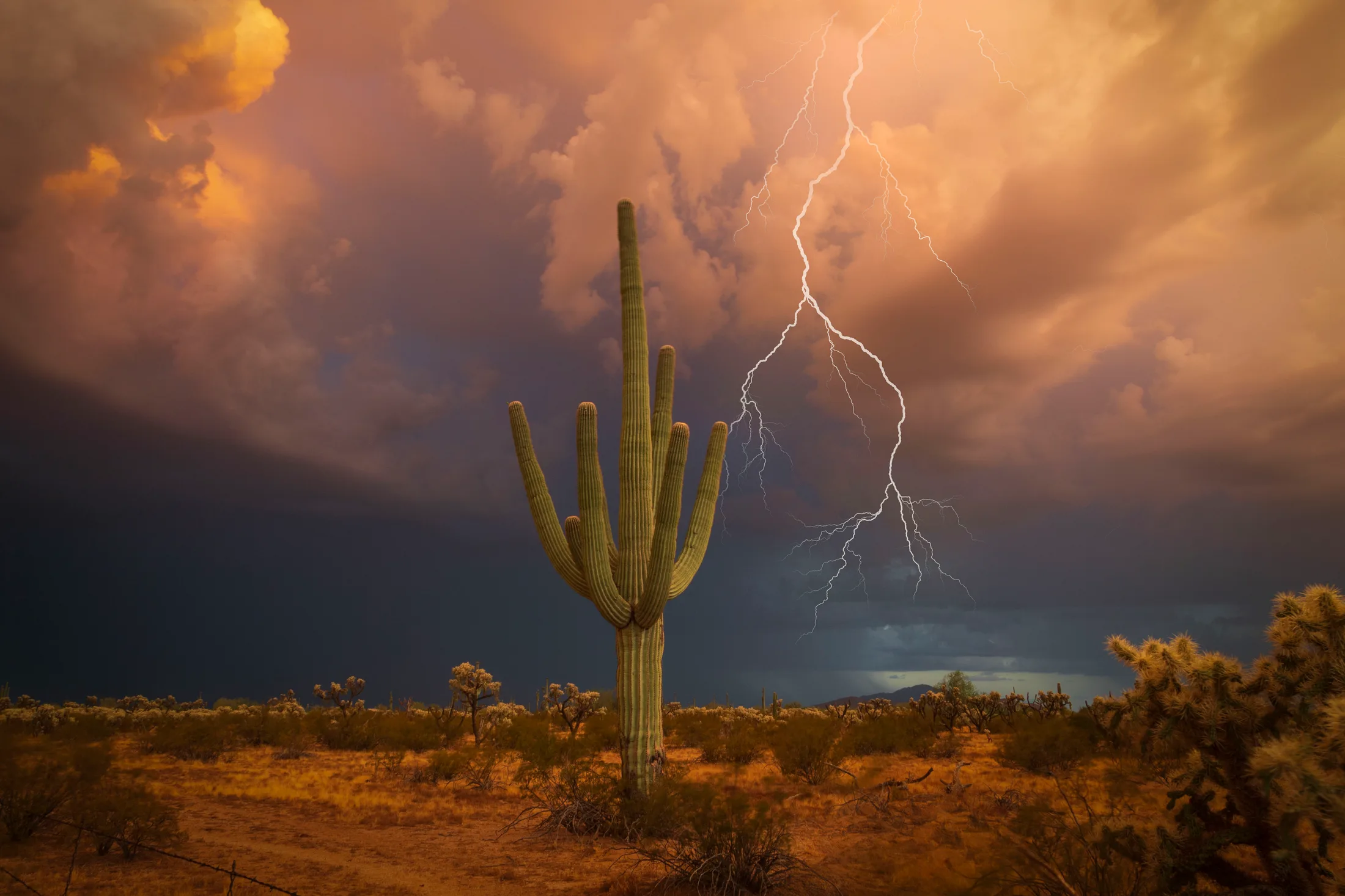 Florence AZ, lightning, a fine art photograph by Michael Joseph Baca, Casa de Baca Studios, Florence, Arizona