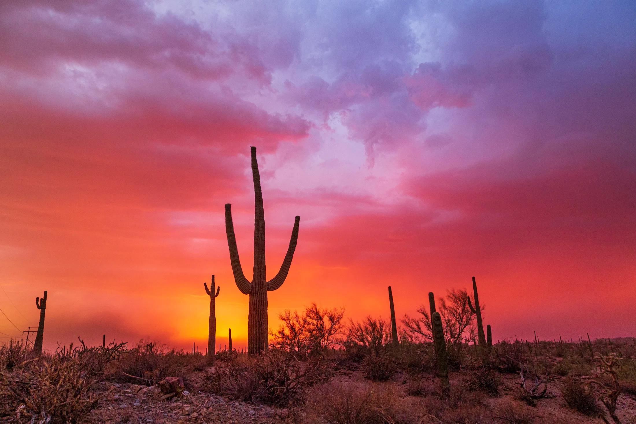 Florence AZ, lightning, a fine art photograph by Michael Joseph Baca, Casa de Baca Studios, Florence, Arizona