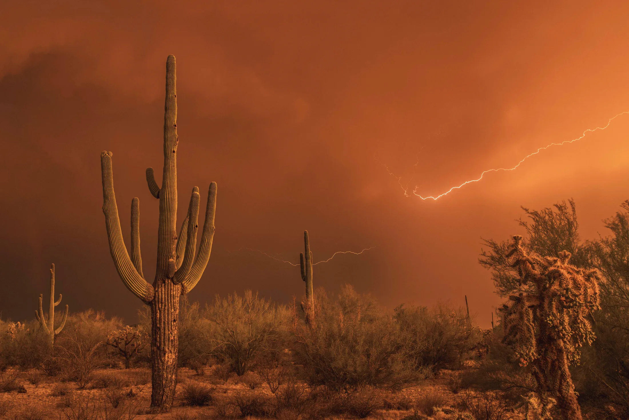 Florence AZ, lightning, a fine art photograph by Michael Joseph Baca, Casa de Baca Studios, Florence, Arizona