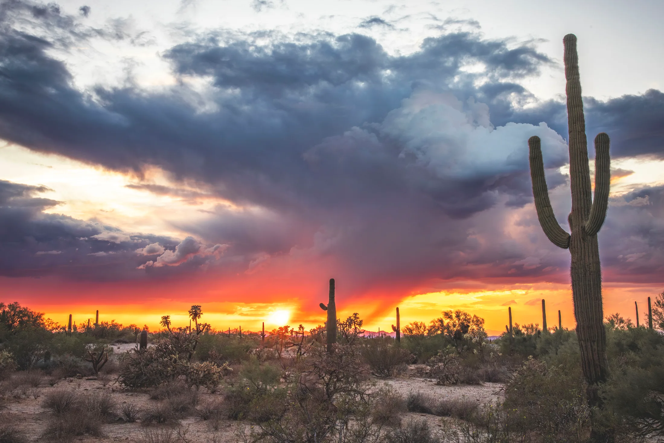 Florence AZ, lightning, a fine art photograph by Michael Joseph Baca, Casa de Baca Studios, Florence, Arizona