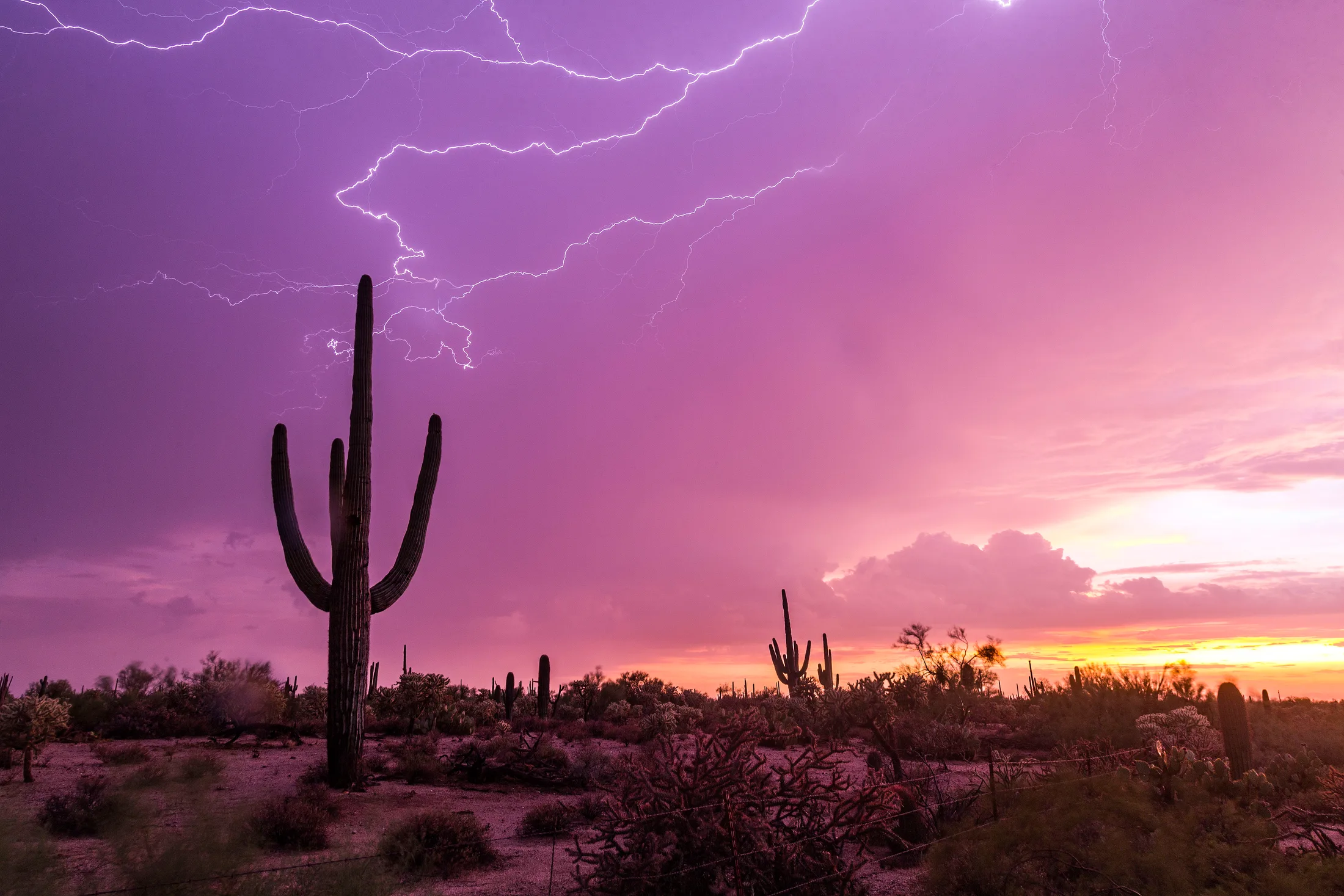 Florence AZ, lightning, a fine art photograph by Michael Joseph Baca, Casa de Baca Studios, Florence, Arizona