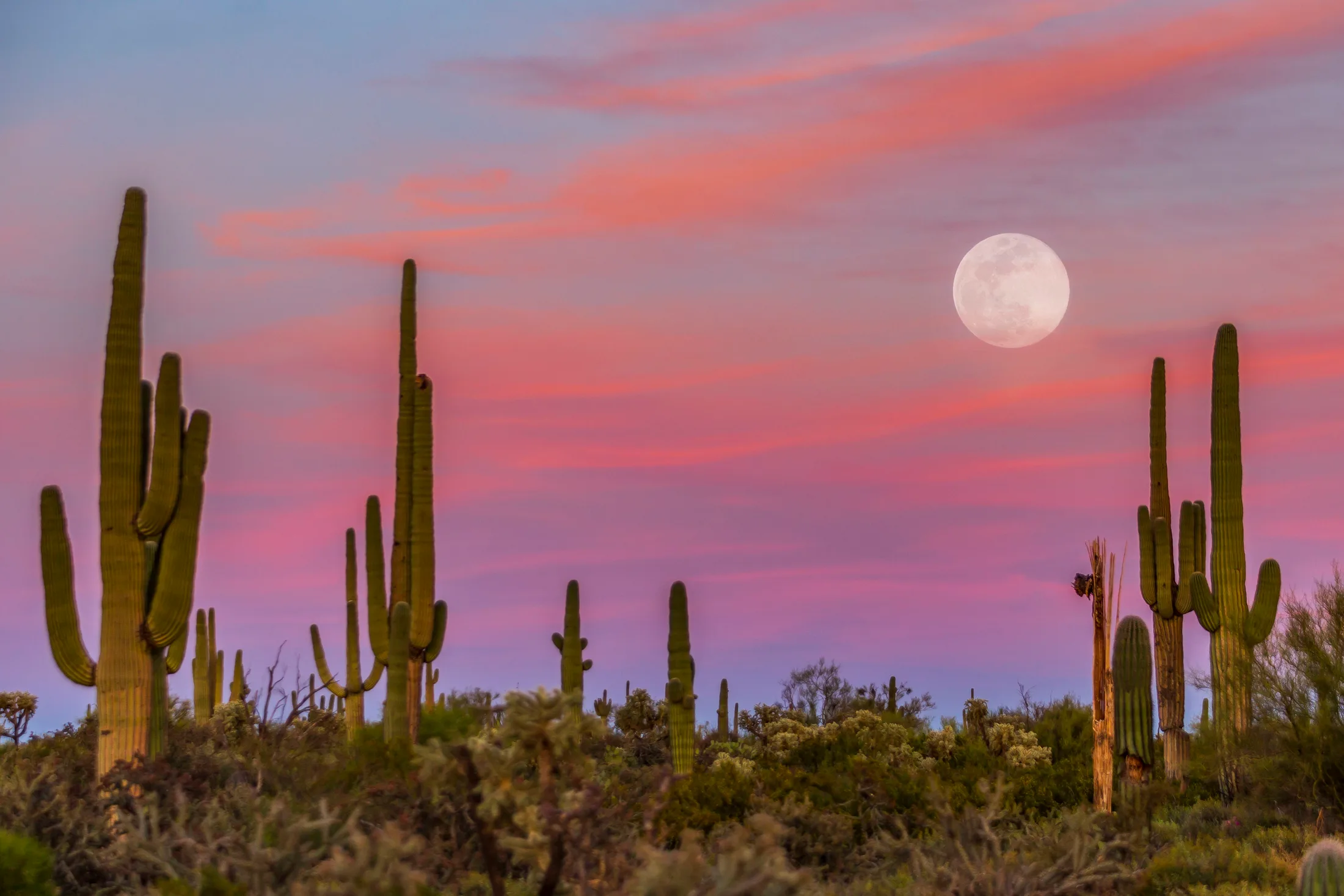 Florence AZ, moon, a fine art photograph by Michael Joseph Baca, Casa de Baca Studios, Florence, Arizona