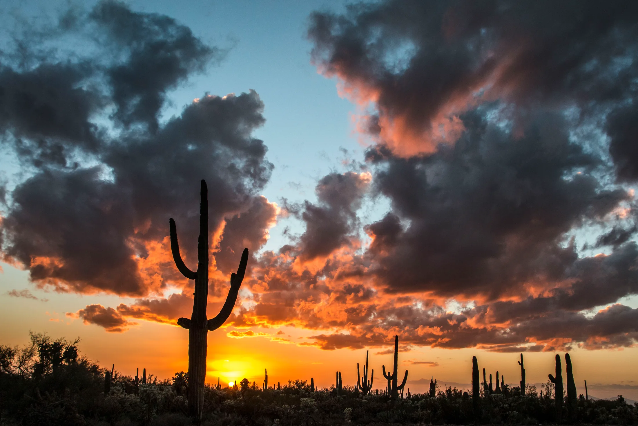 Florence AZ, sunset and sunrise, a fine art photograph by Michael Joseph Baca, Casa de Baca Studios, Florence, Arizona