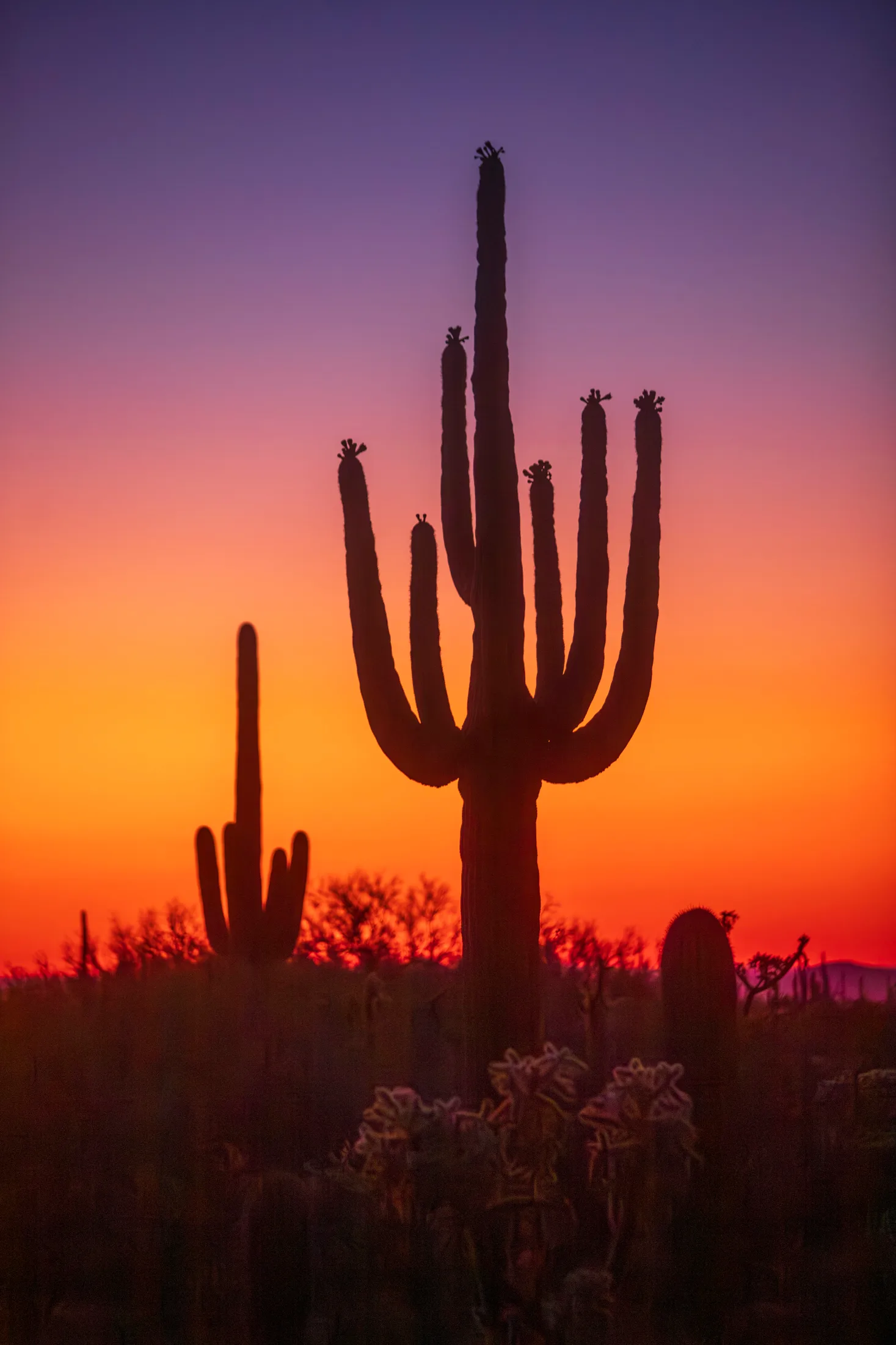 Florence AZ, sunset and sunrise, a fine art photograph by Michael Joseph Baca, Casa de Baca Studios, Florence, Arizona