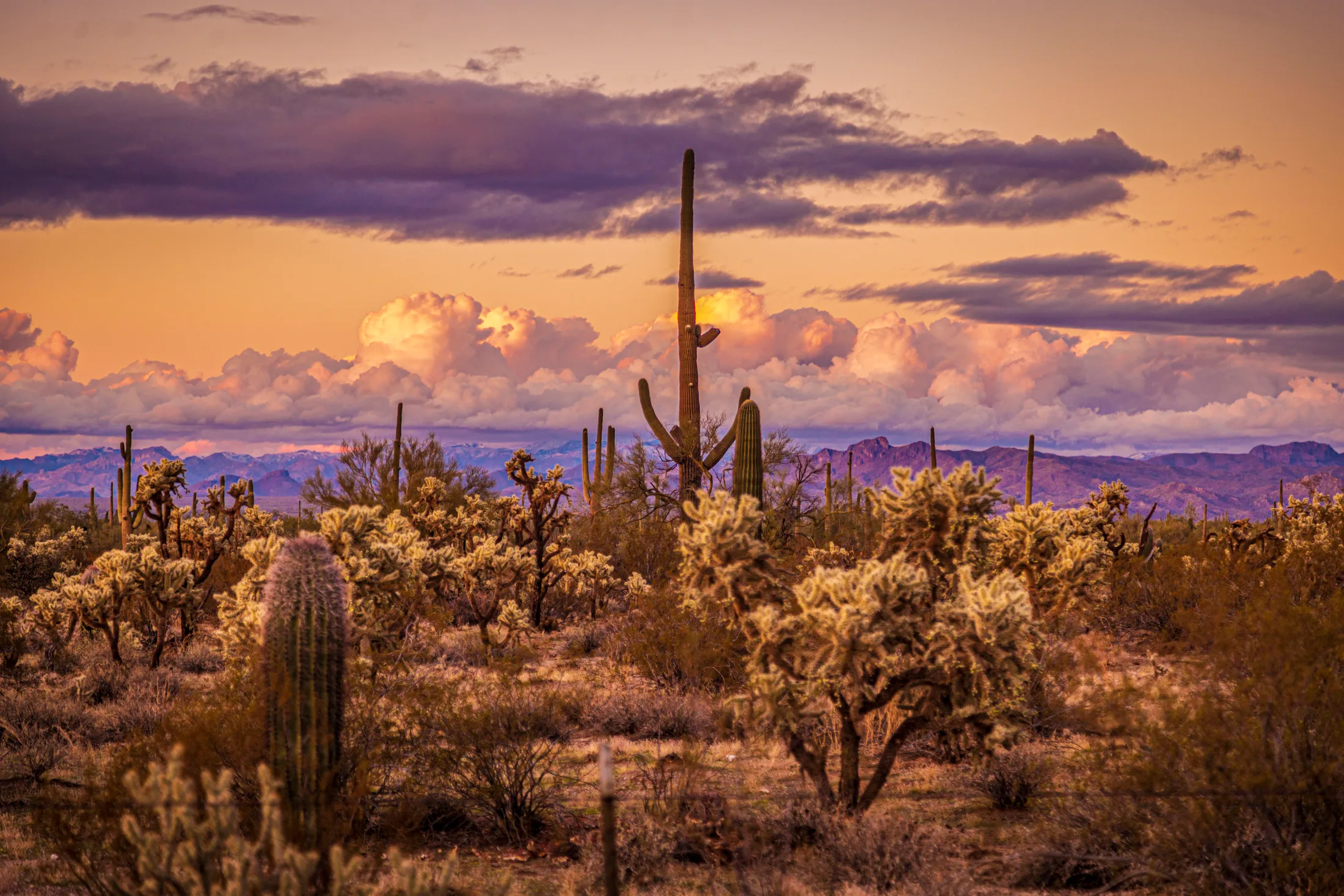 Florence AZ, sunset and sunrise, a fine art photograph by Michael Joseph Baca, Casa de Baca Studios, Florence, Arizona