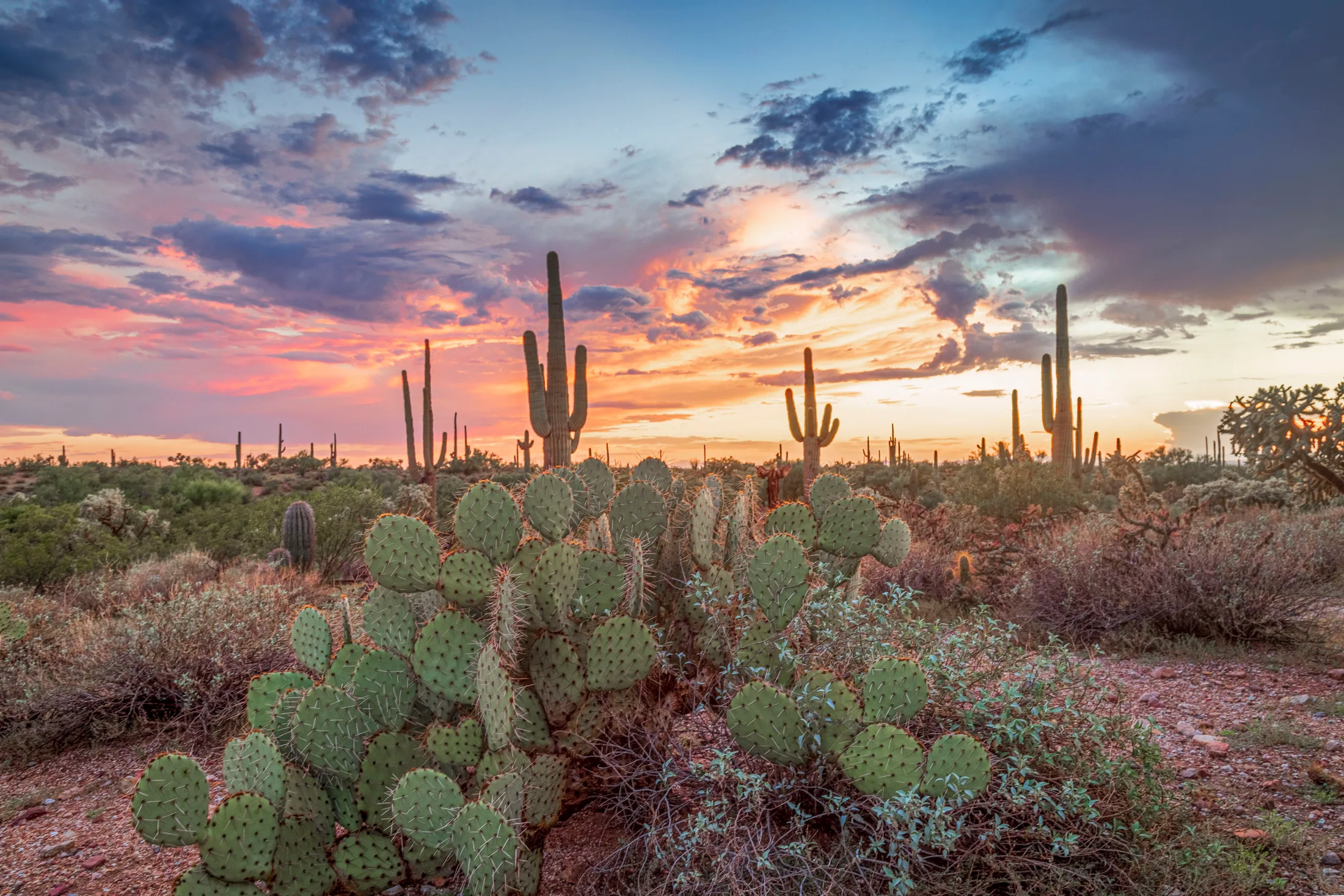 Florence AZ, sunset and sunrise, a fine art photograph by Michael Joseph Baca, Casa de Baca Studios, Florence, Arizona