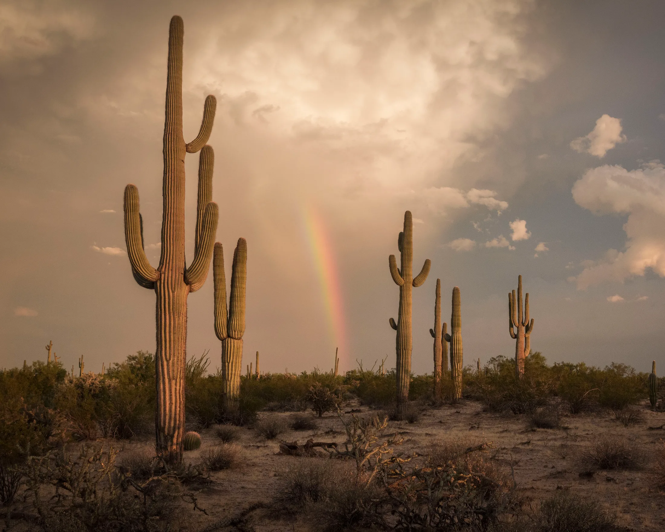 Florence AZ, sunset and sunrise, a fine art photograph by Michael Joseph Baca, Casa de Baca Studios, Florence, Arizona