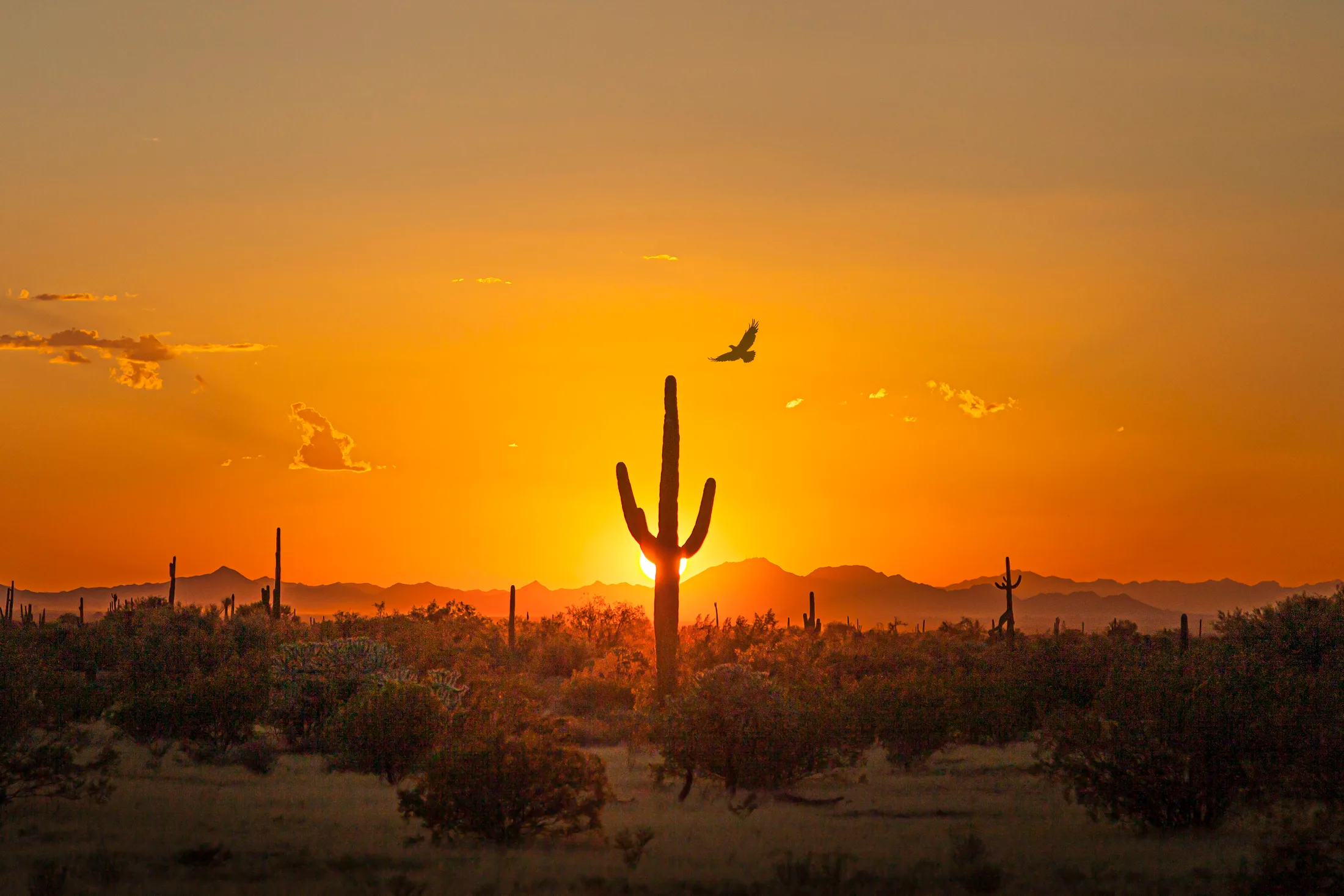 Florence AZ, sunset and sunrise, a fine art photograph by Michael Joseph Baca, Casa de Baca Studios, Florence, Arizona