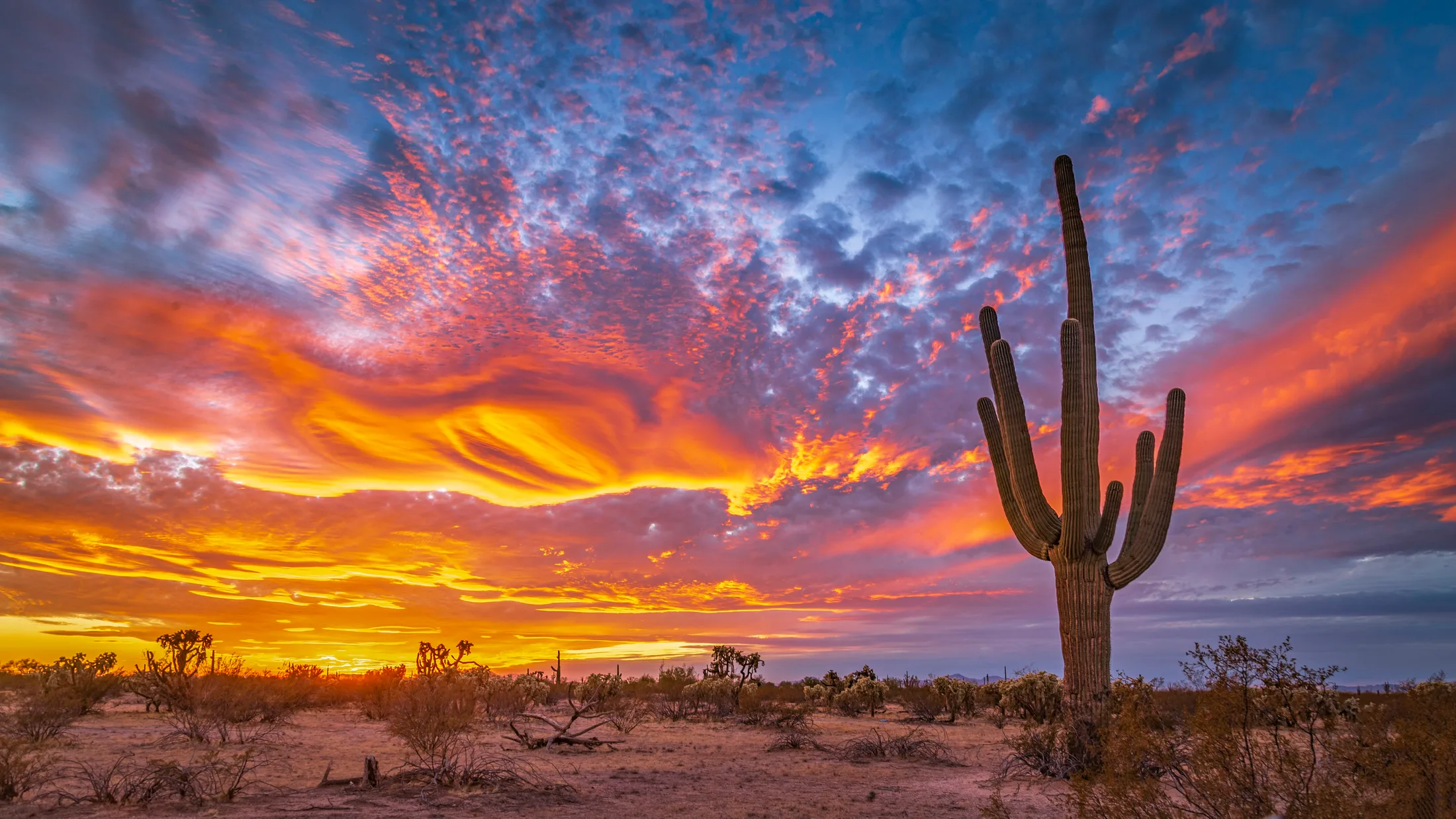 Florence AZ - re edited, sunset and sunrise, a fine art photograph by Michael Joseph Baca