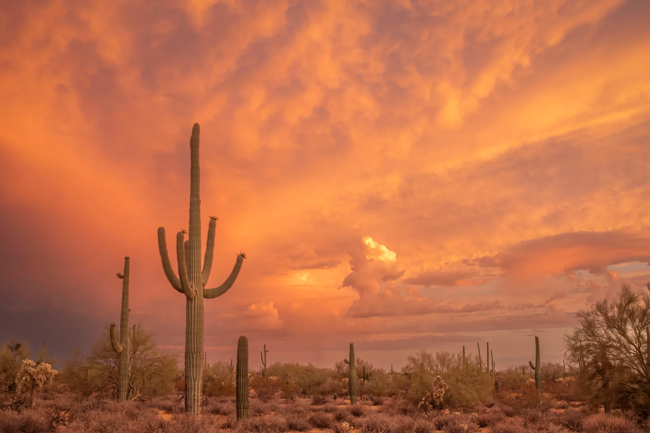 Florence AZ, sunset and sunrise, a fine art photograph by Michael Joseph Baca, Casa de Baca Studios, Florence, Arizona