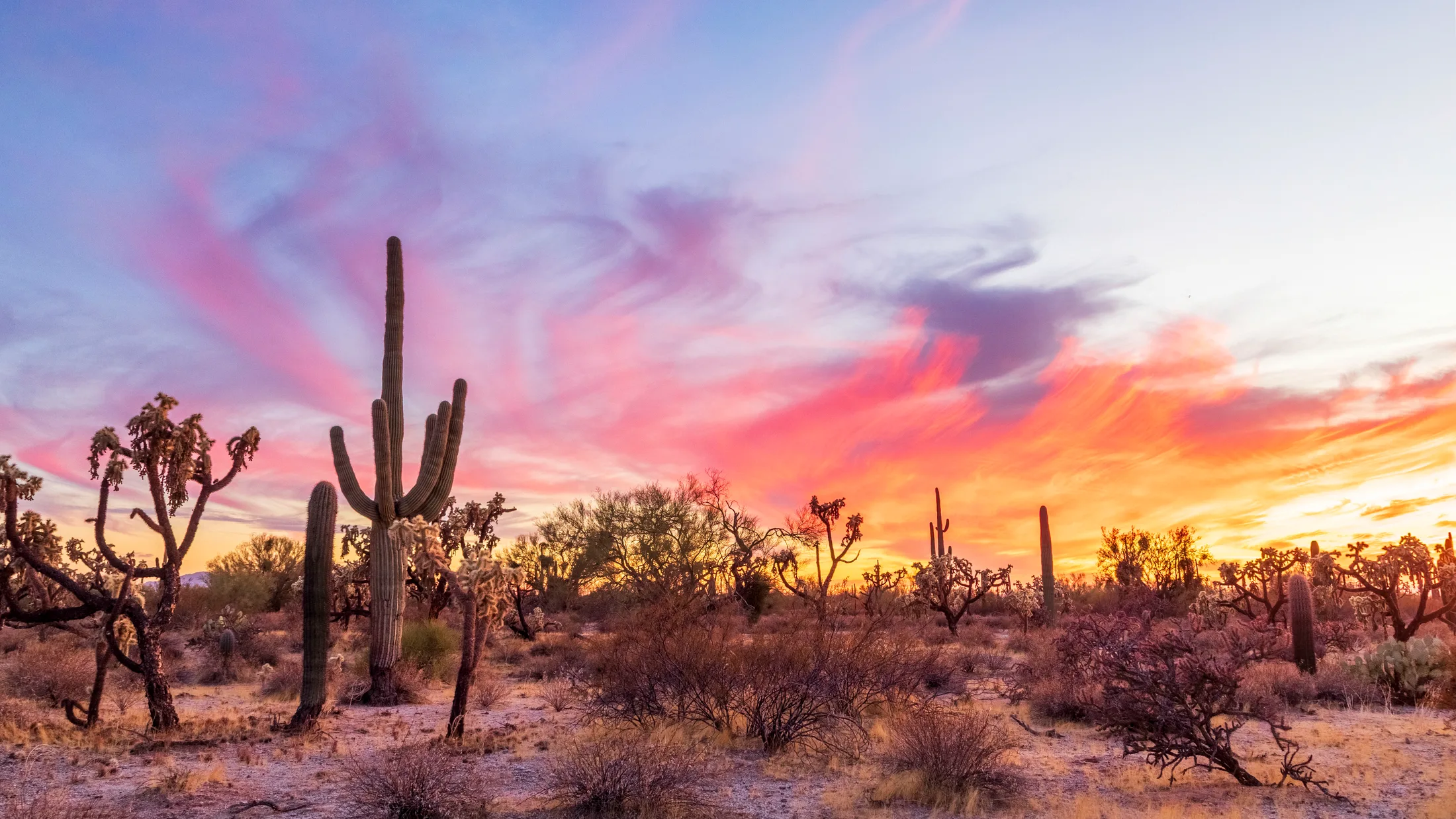 Florence Kelvin Highway Florence AZ, sunset and sunrise, a fine art photograph by Michael Joseph Baca